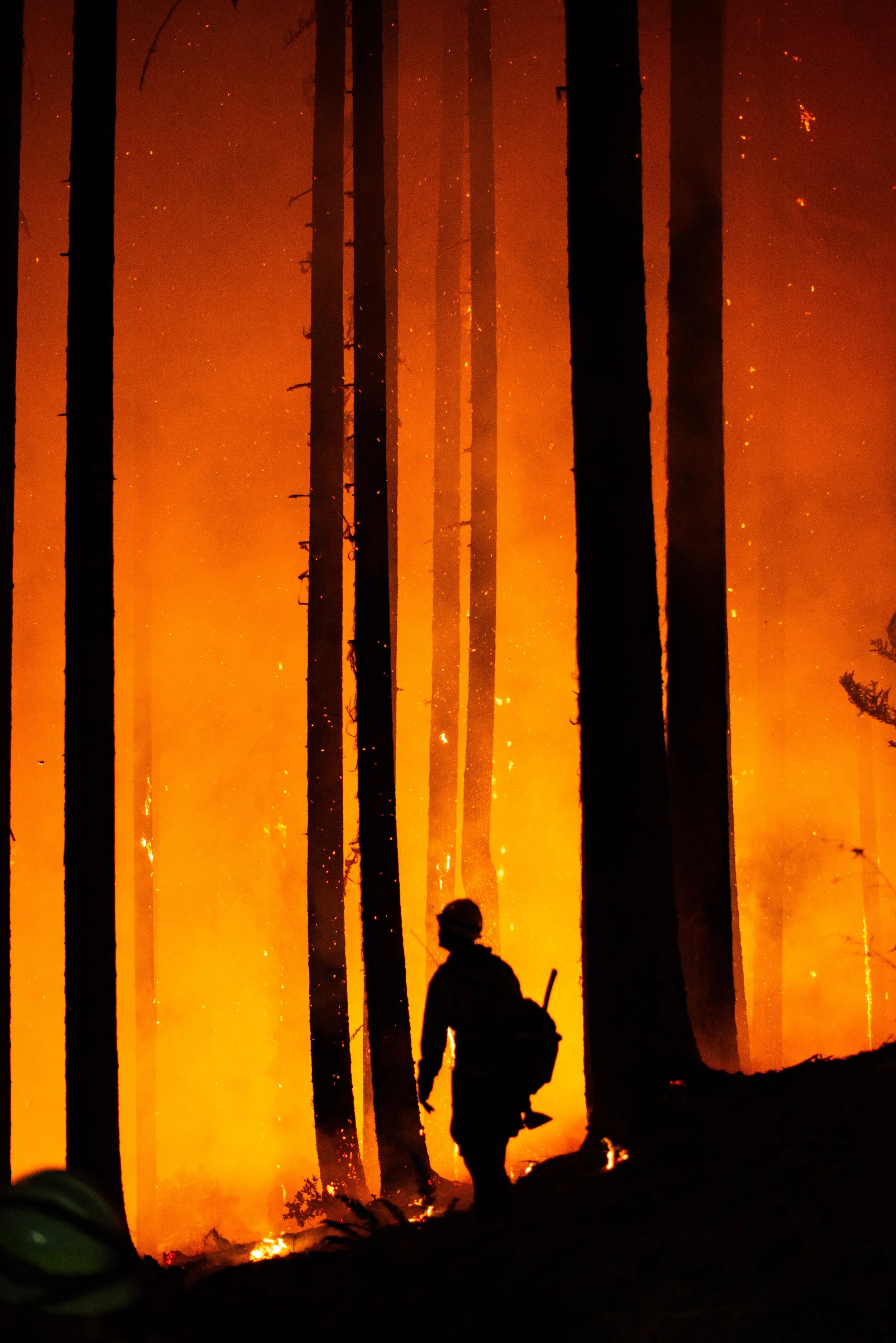 WildlandPhotos_Website_20070.JPG