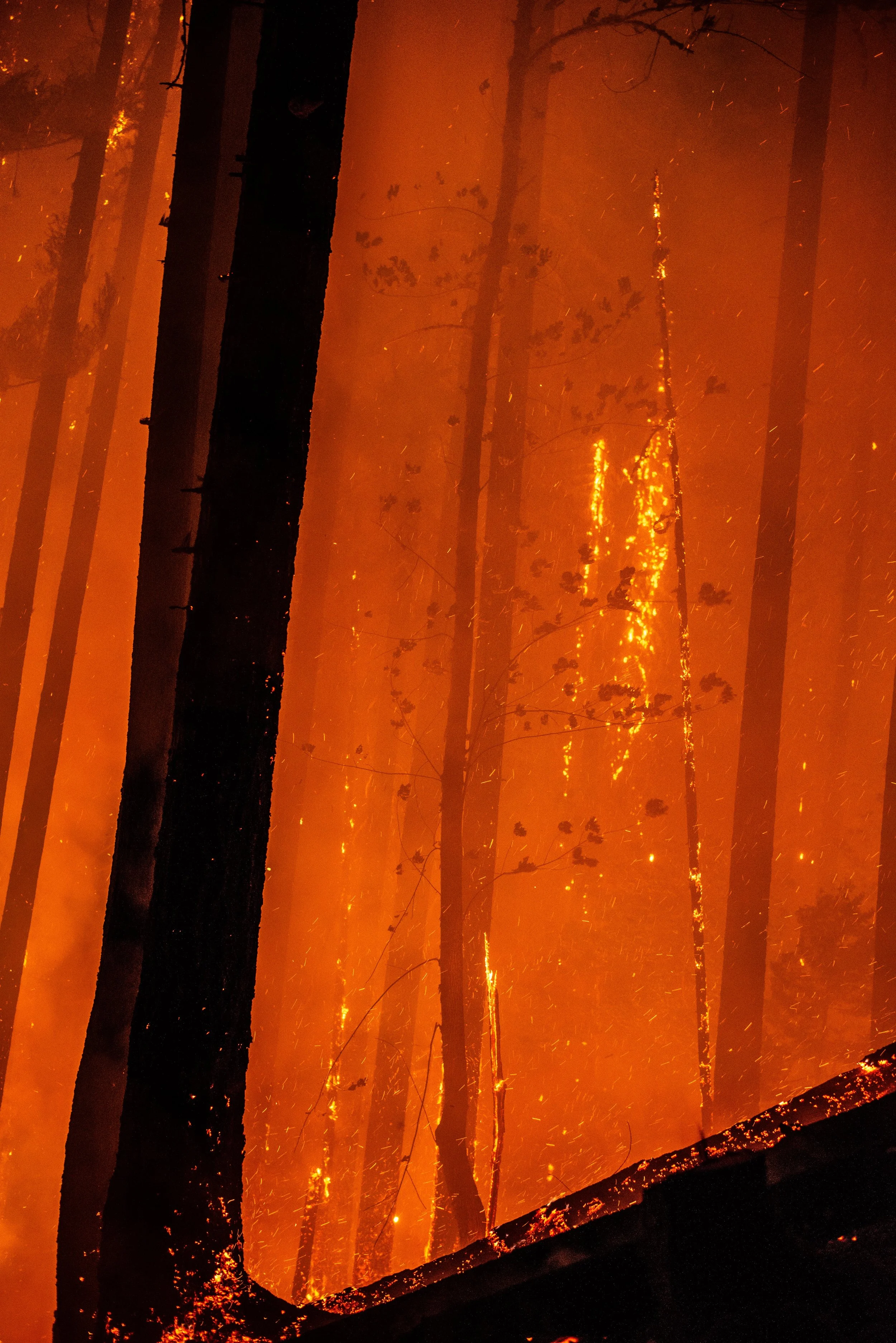 WildlandPhotos_Website_20075.JPG