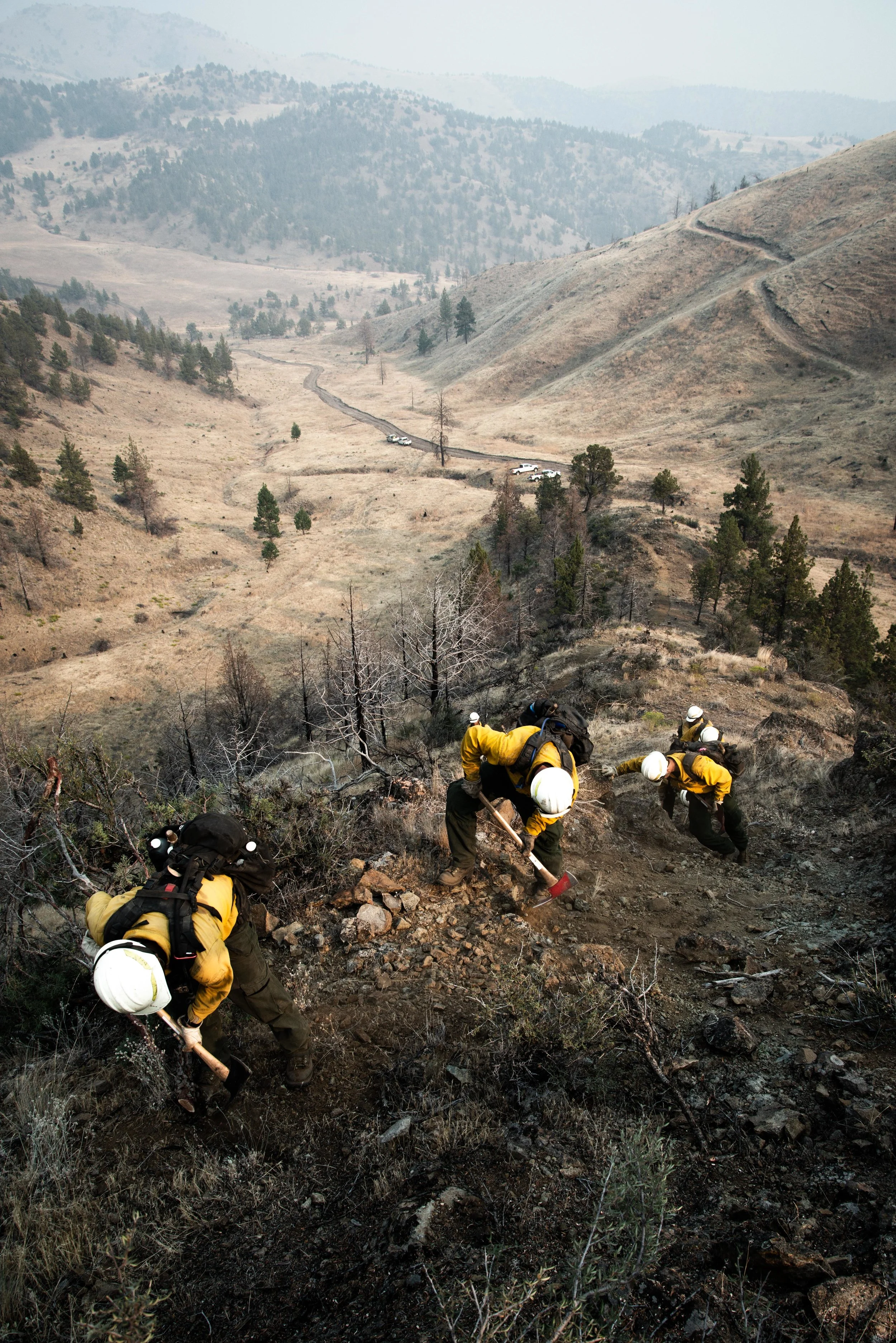 WildlandPhotos_Website_20078.JPG