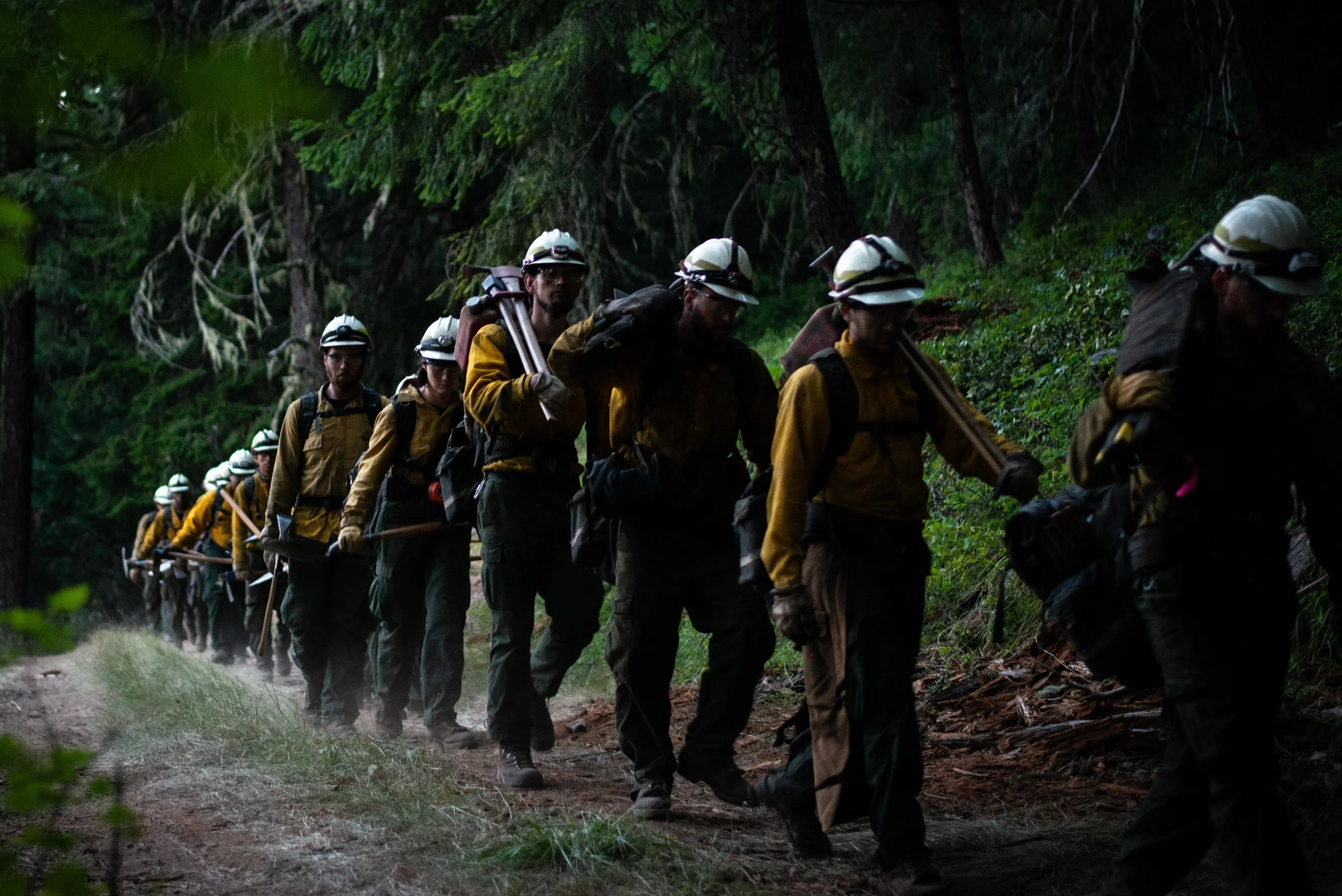 WildlandPhotos_Website_20080.JPG