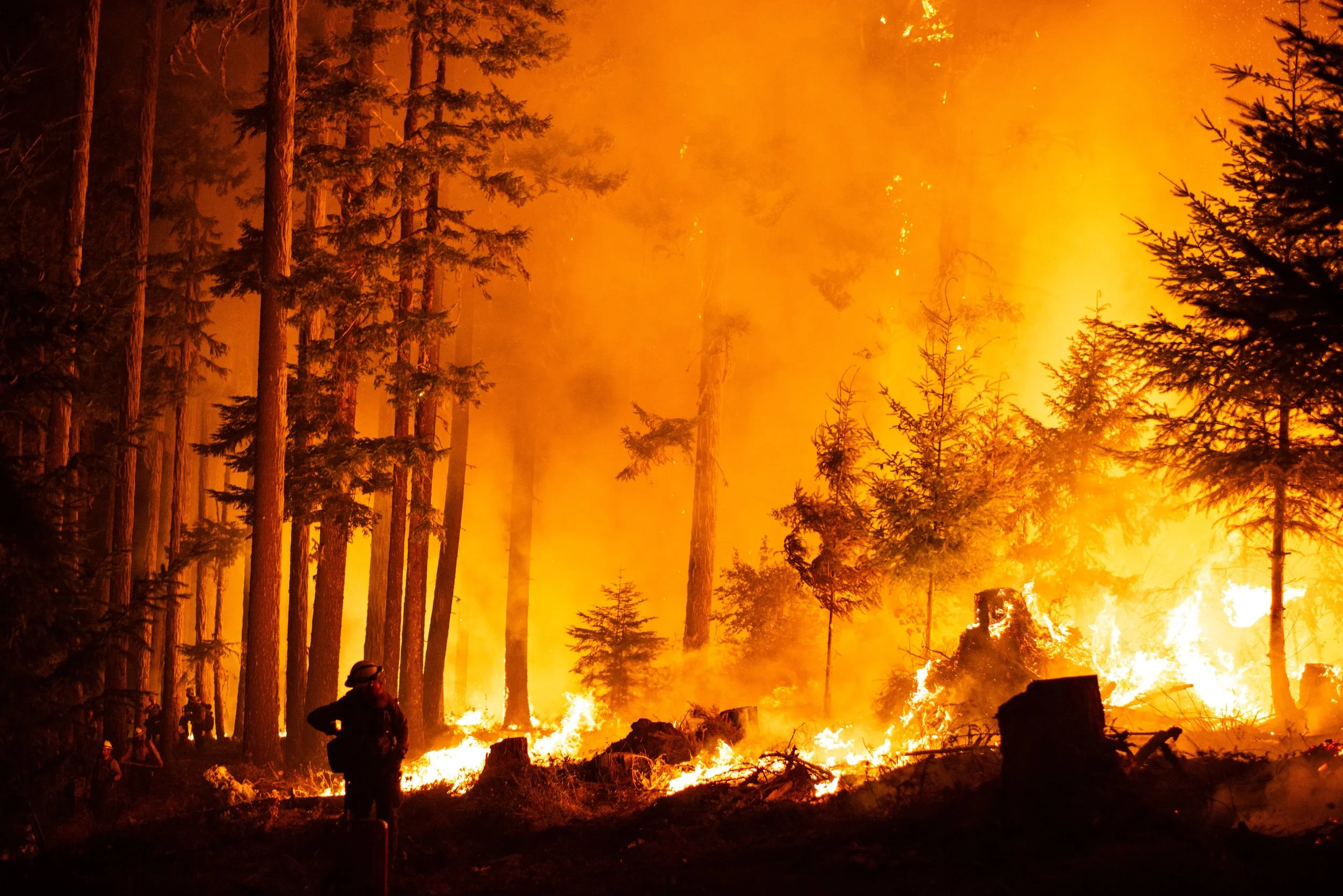 WildlandPhotos_Website_20084.JPG