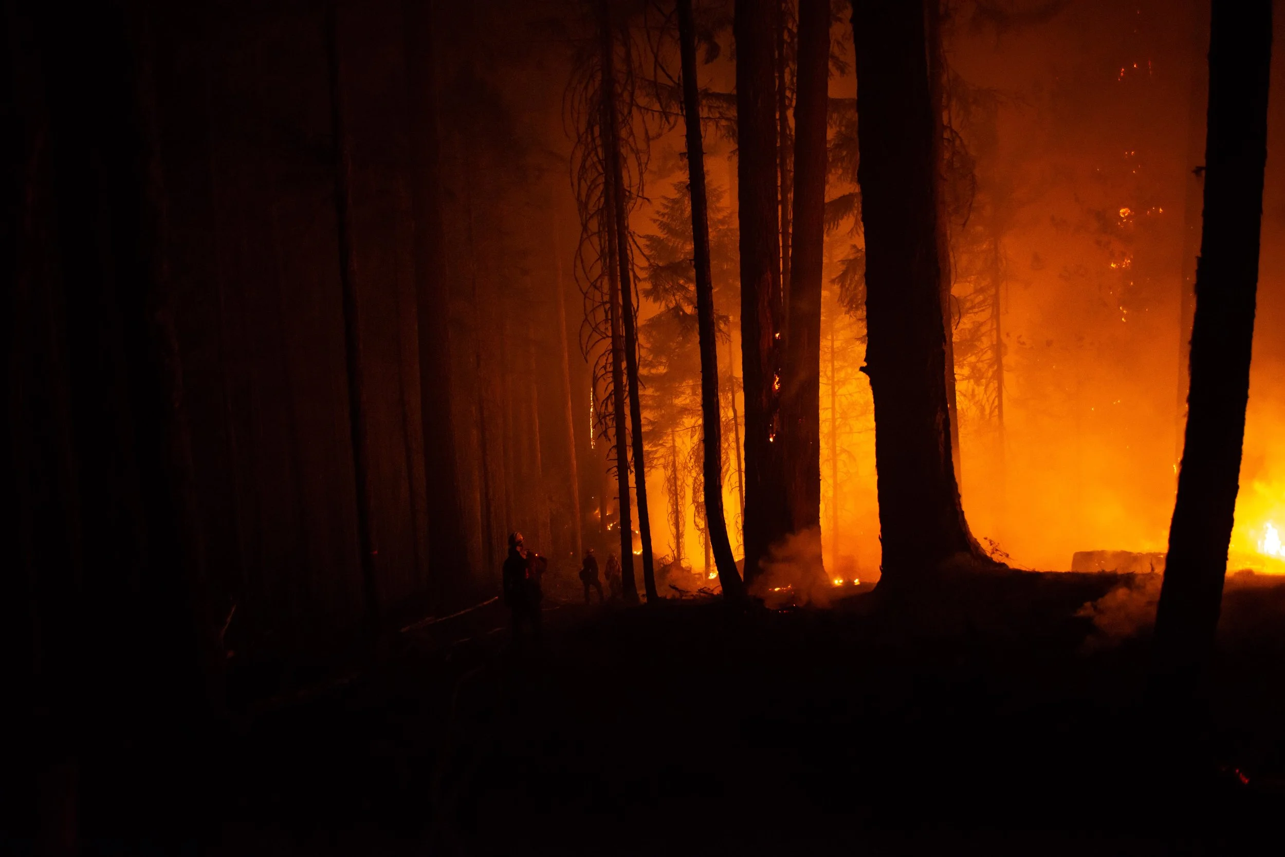 WildlandPhotos_Website_20087.JPG