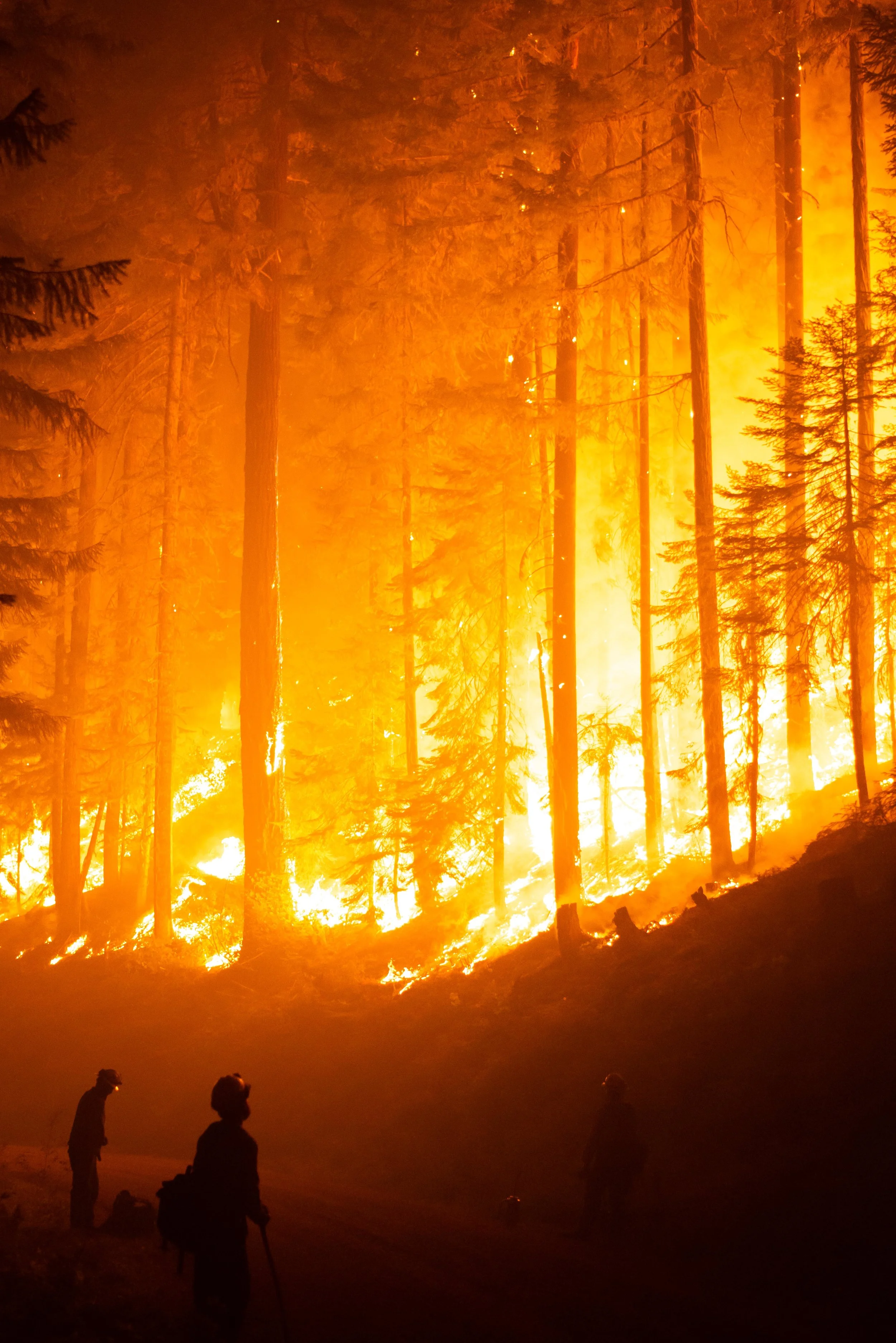 WildlandPhotos_Website_20089.JPG