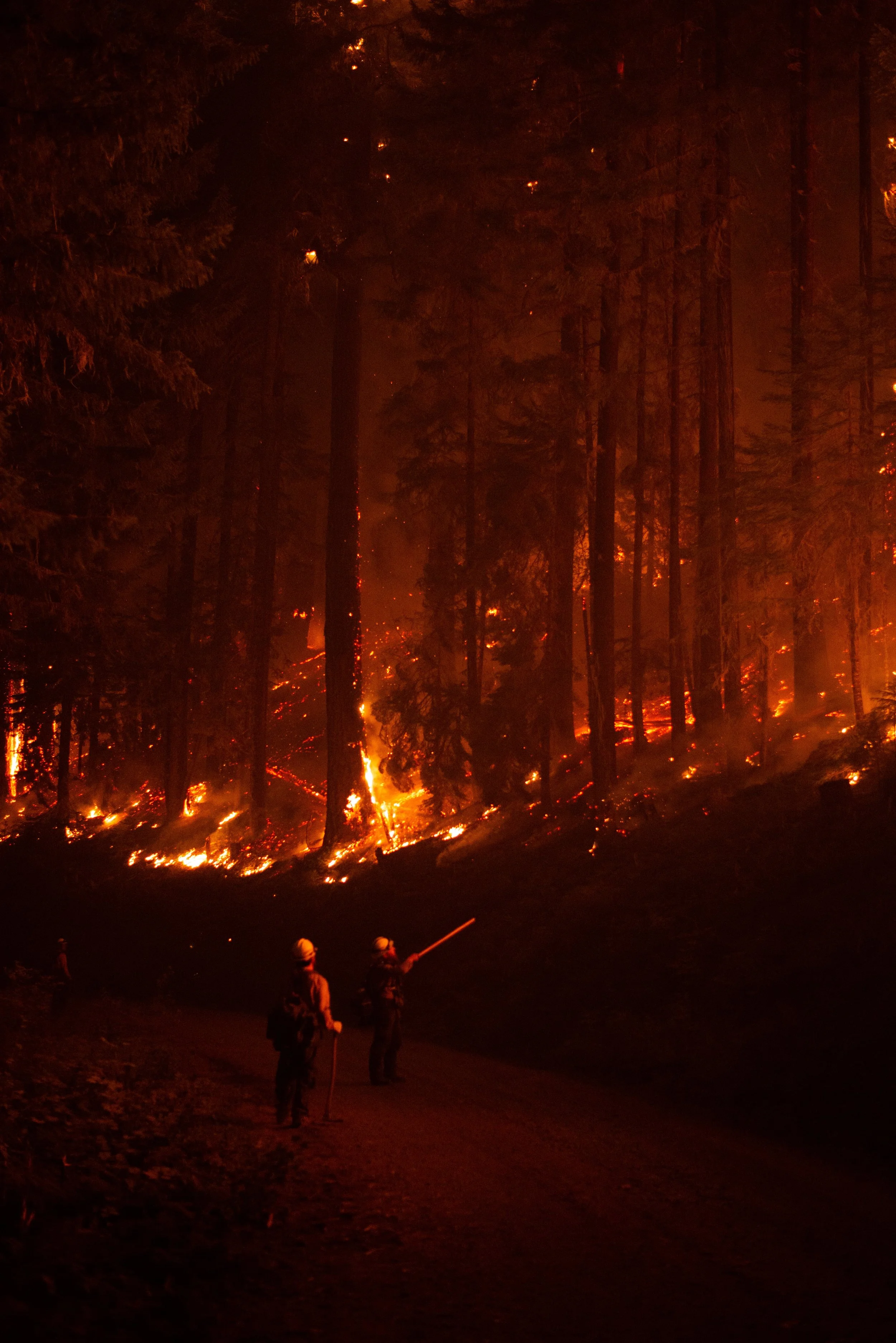 WildlandPhotos_Website_20092.JPG