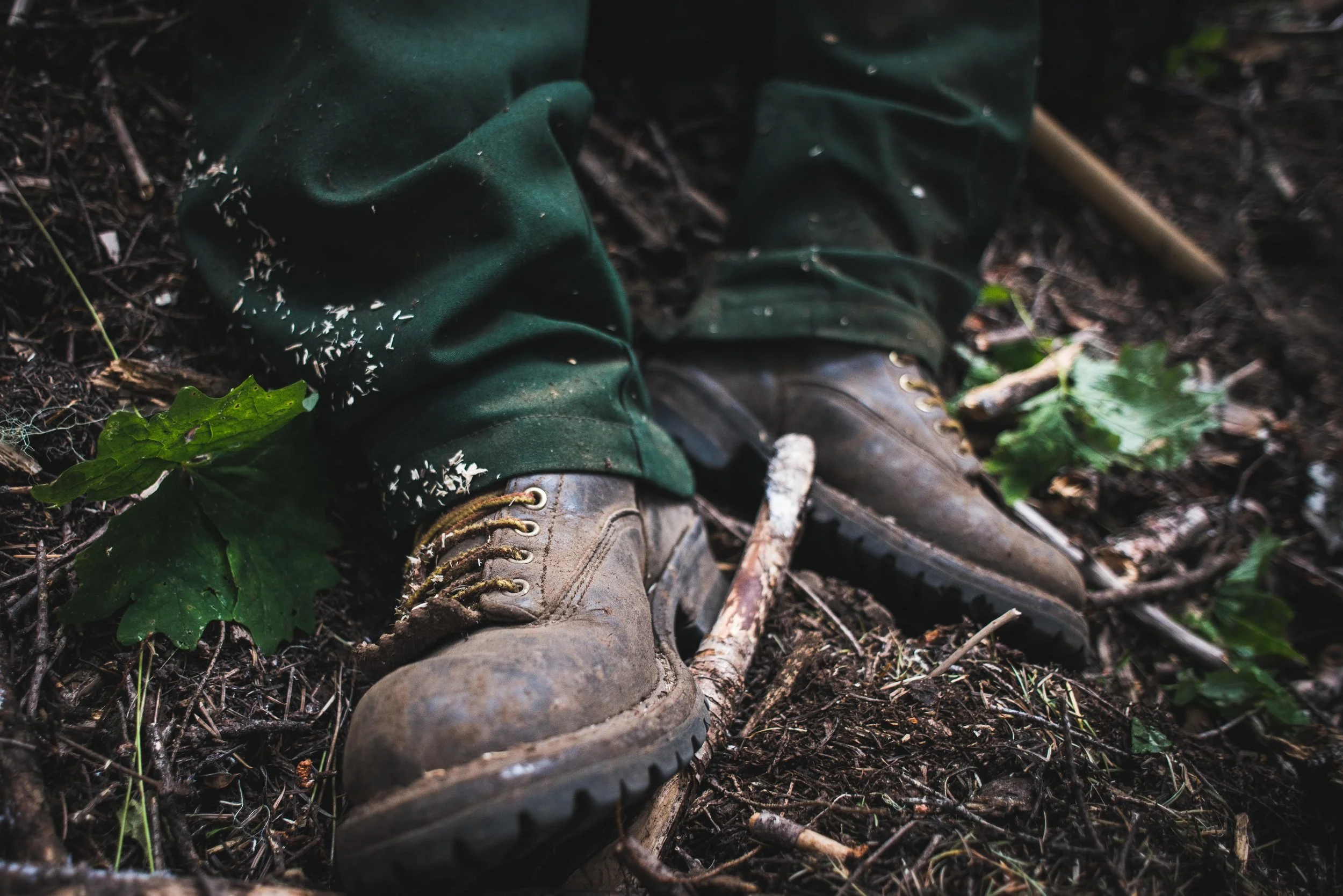 WildlandPhotos_Website_20114.JPG