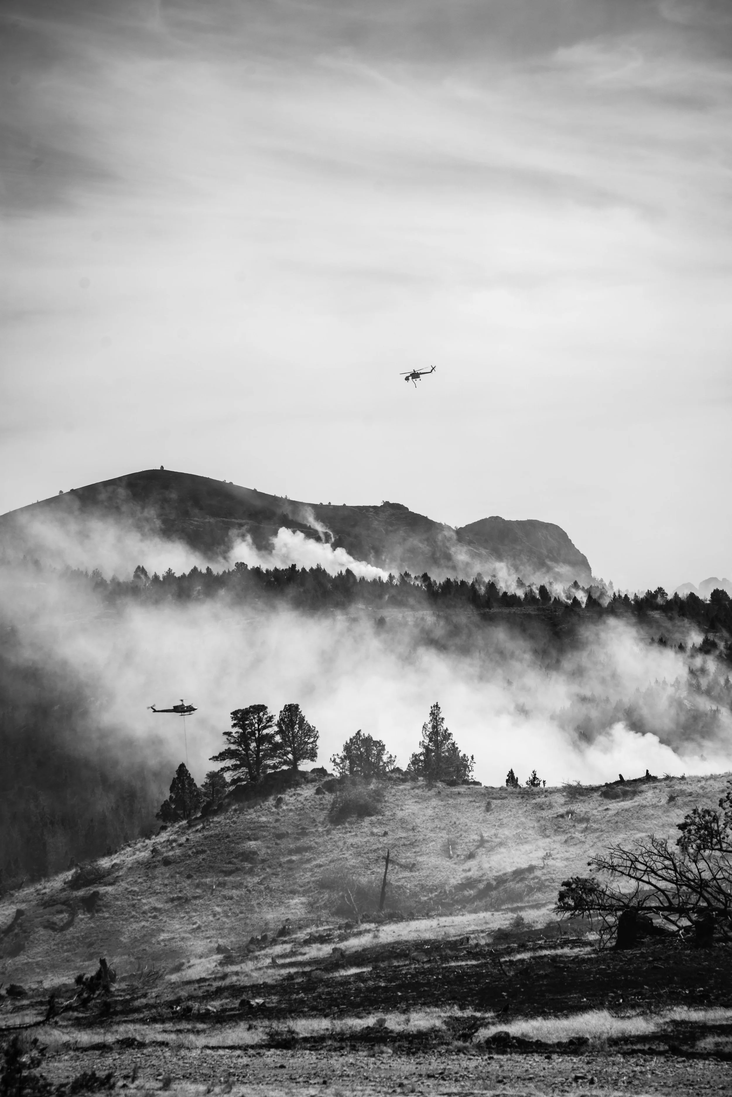 WildlandPhotos_Website_20074.JPG