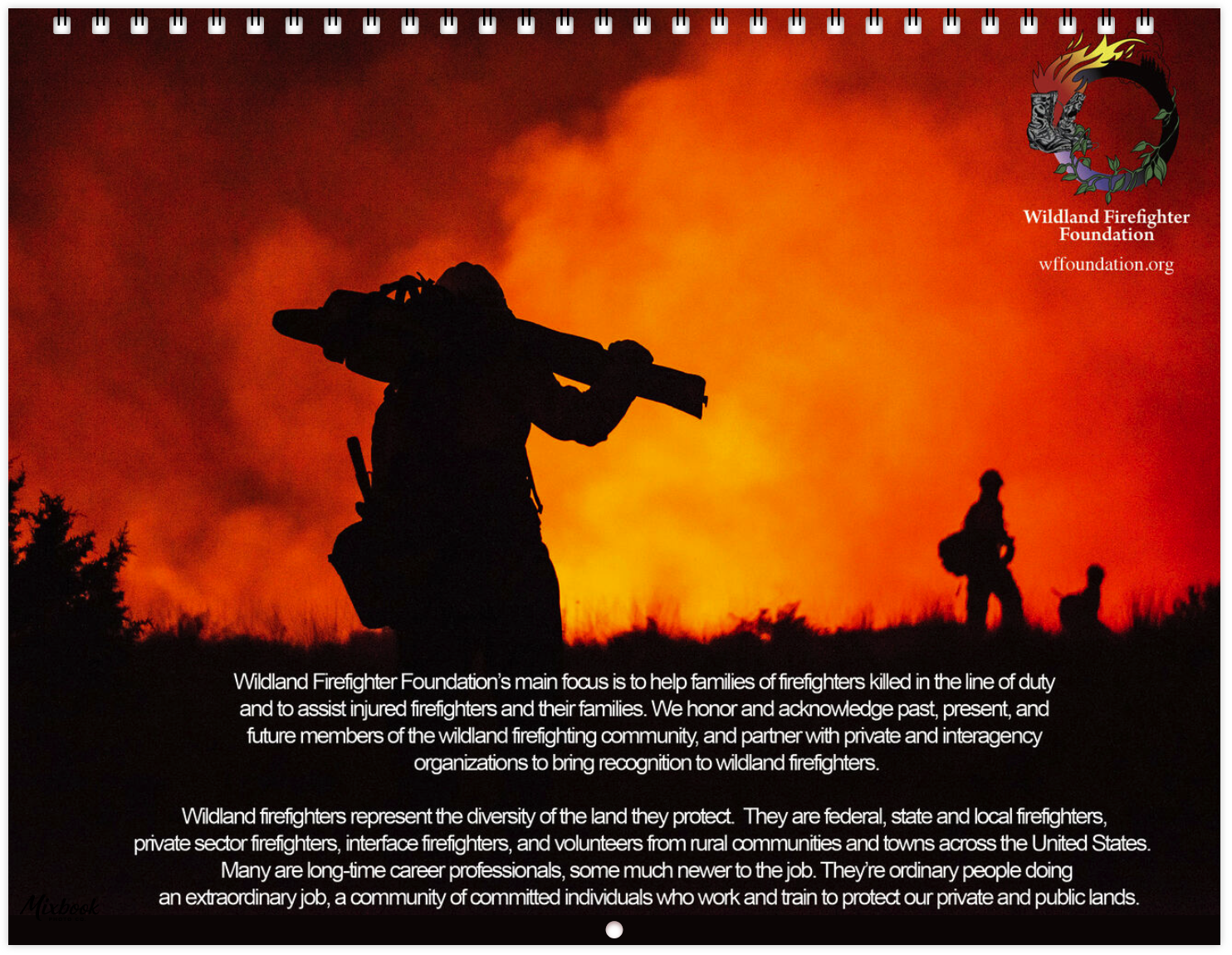 Screen Shot 2020-11-16 at 11.10.39 AM.PNG