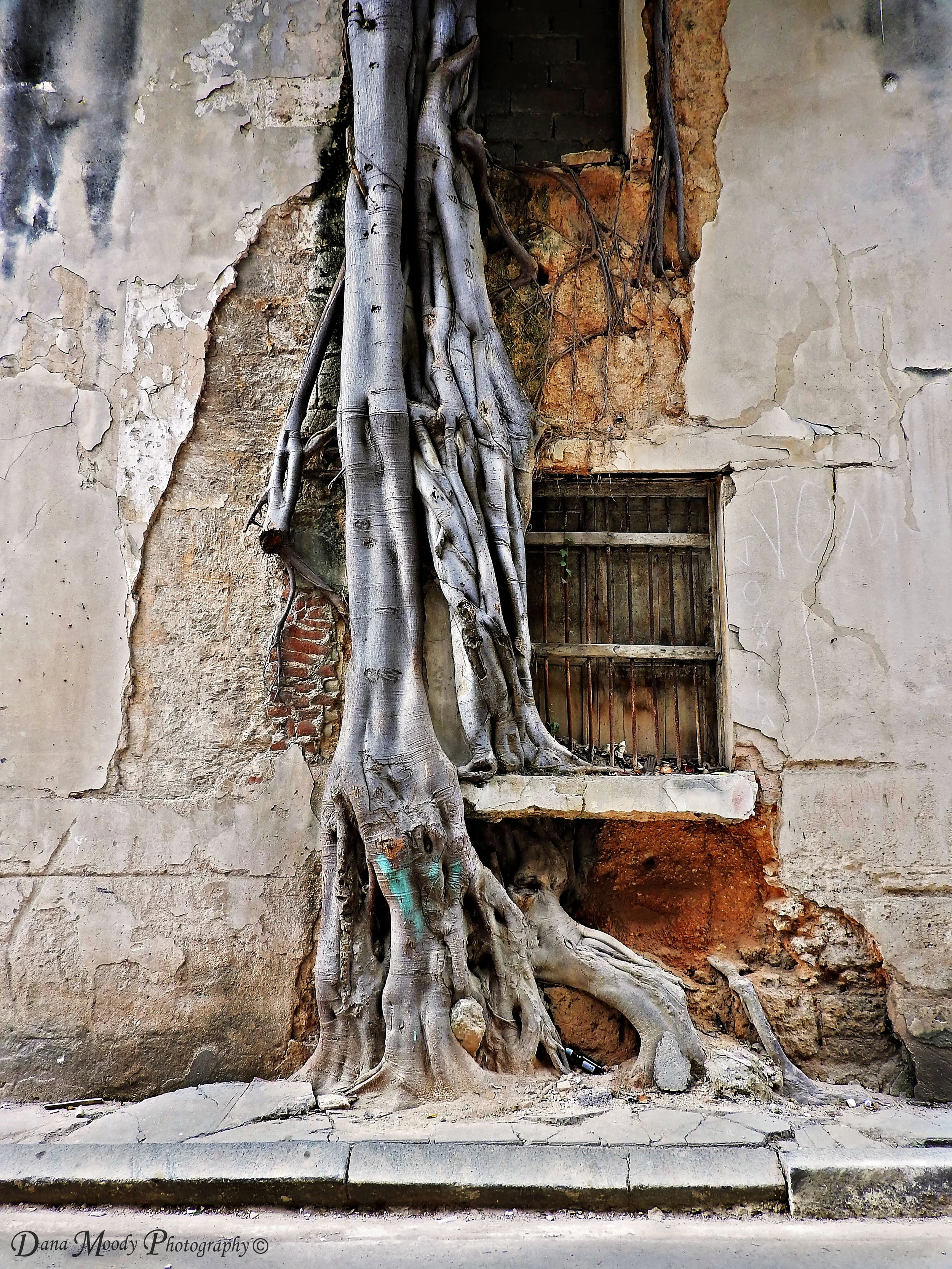 Determinacion (Determination). Havana, Cuba. 2017.