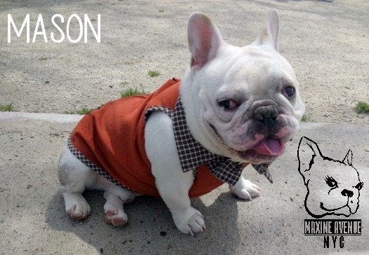 mason.jpg