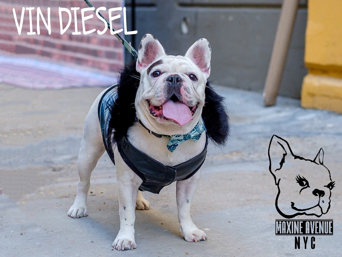 vin diesel.jpg