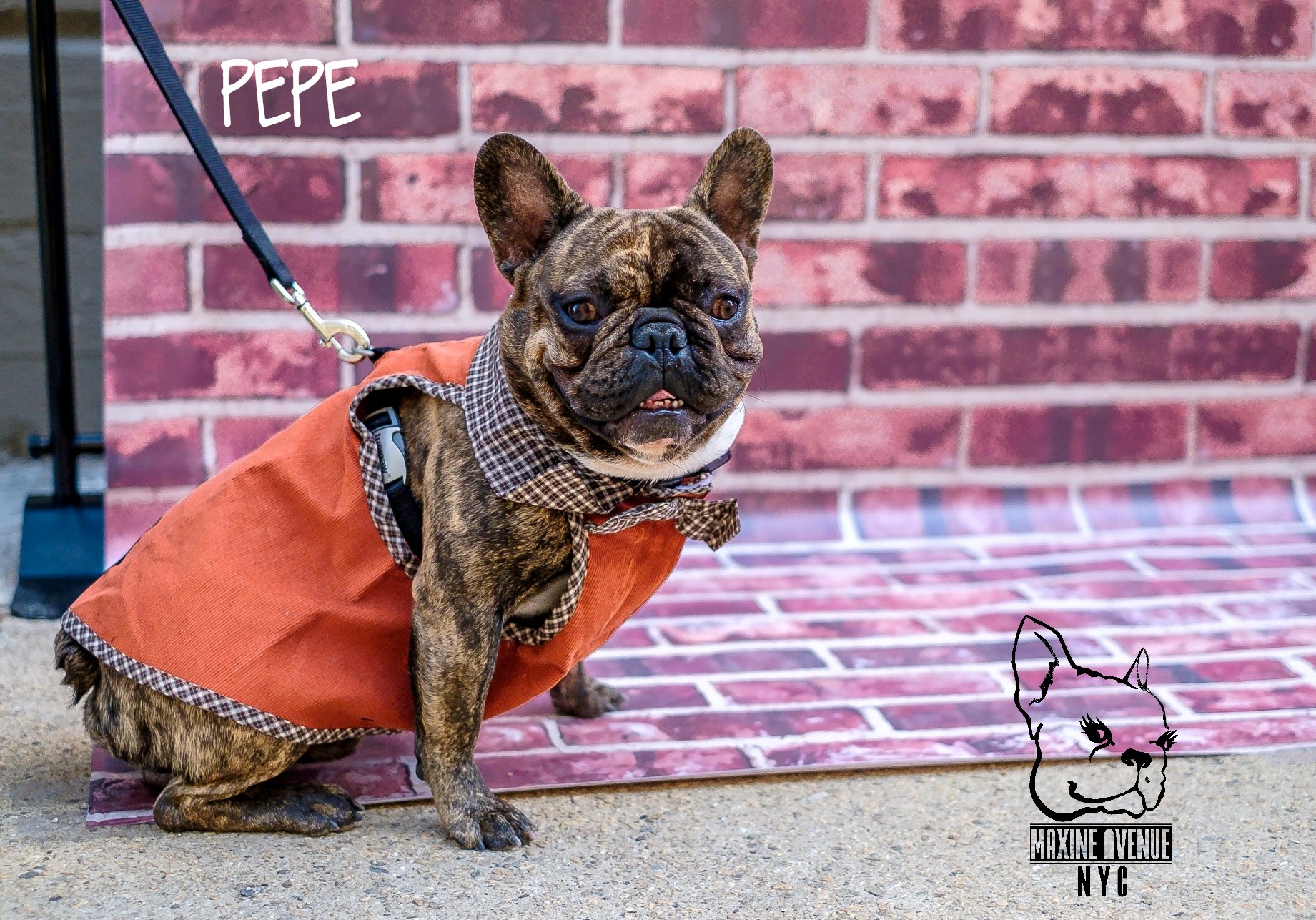 pepe.jpg