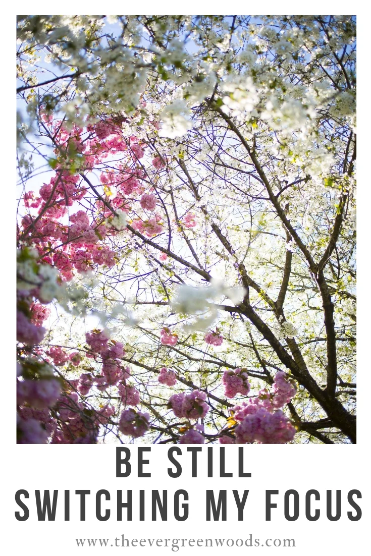 BE STILL _ SWITCHING MY FOCUS V.jpg
