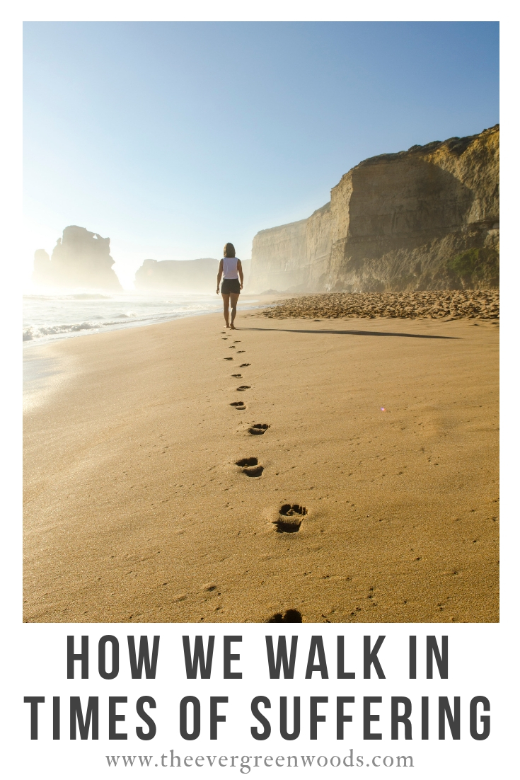 How We Walk In Times OF Suffering V.jpg