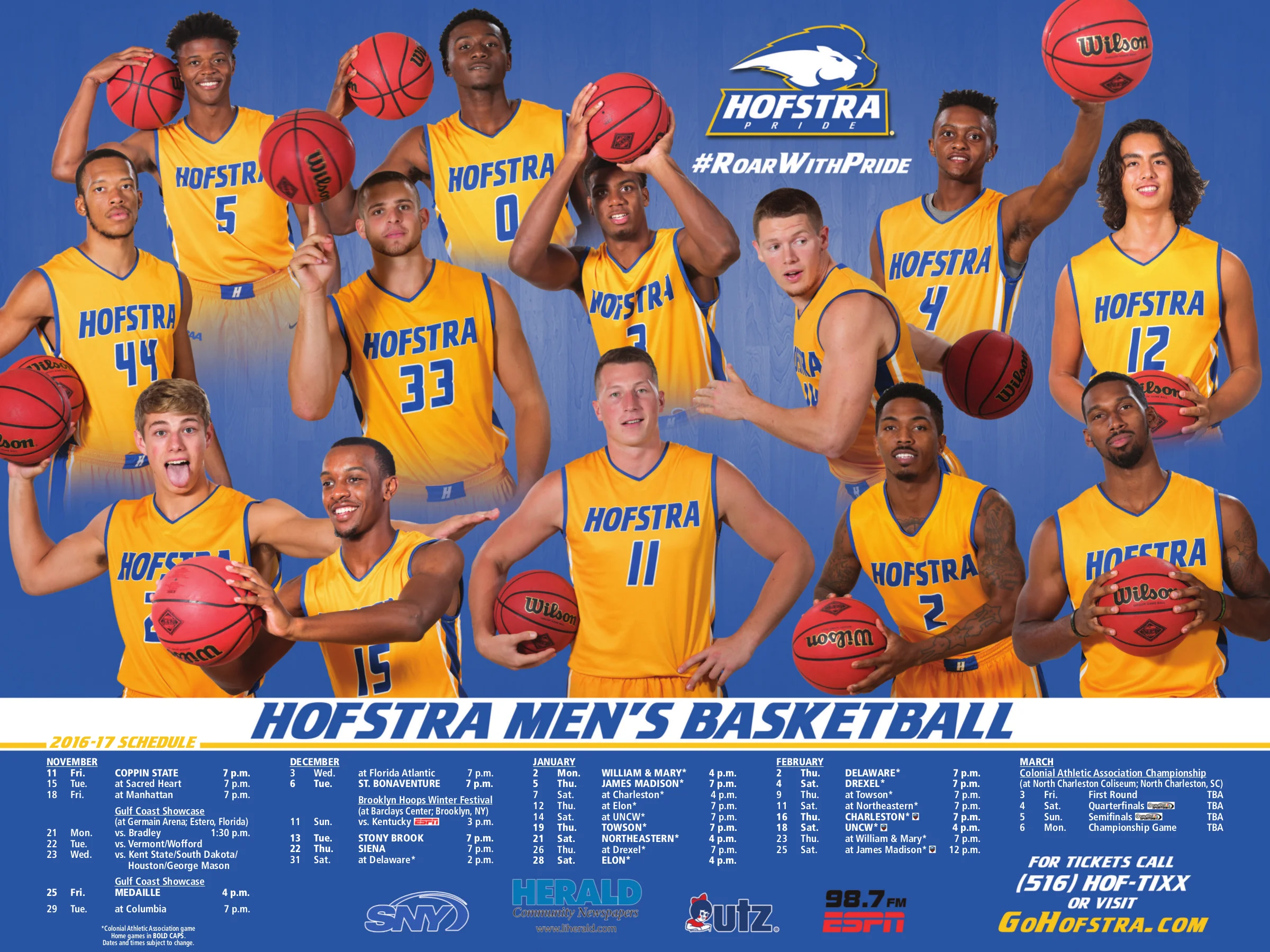 Hofstra Sport Poster