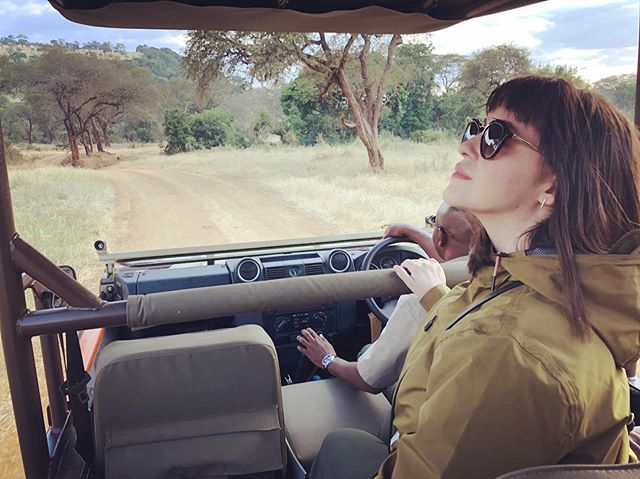 #tbt safari set
🦒
🐘
🐃
🦓
#africa #takemeback #travel #safari #globetrotting #wanderlust #tanzania #singita #wildlife 📸 @bsidell