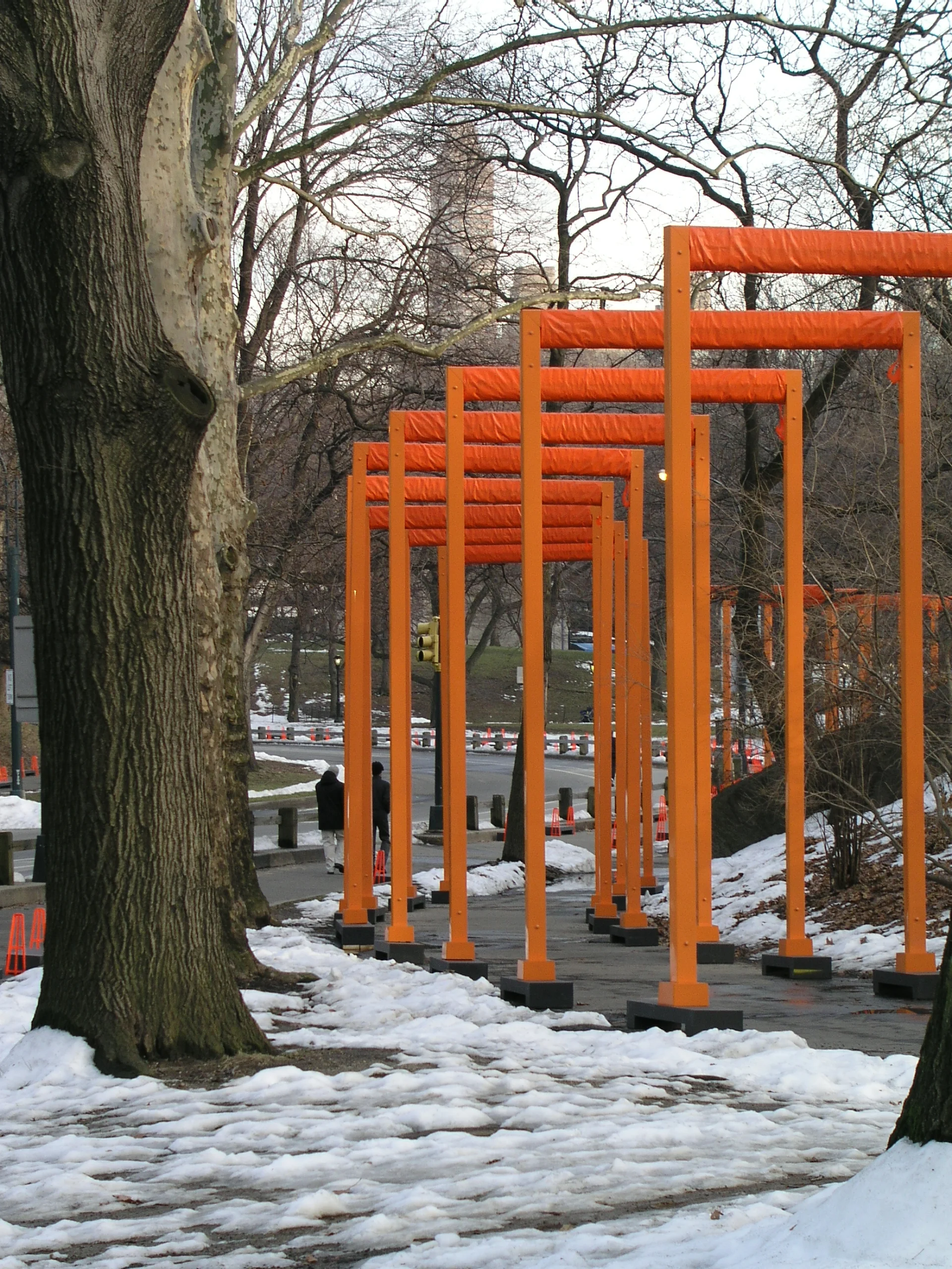 Gates Trees1.JPG