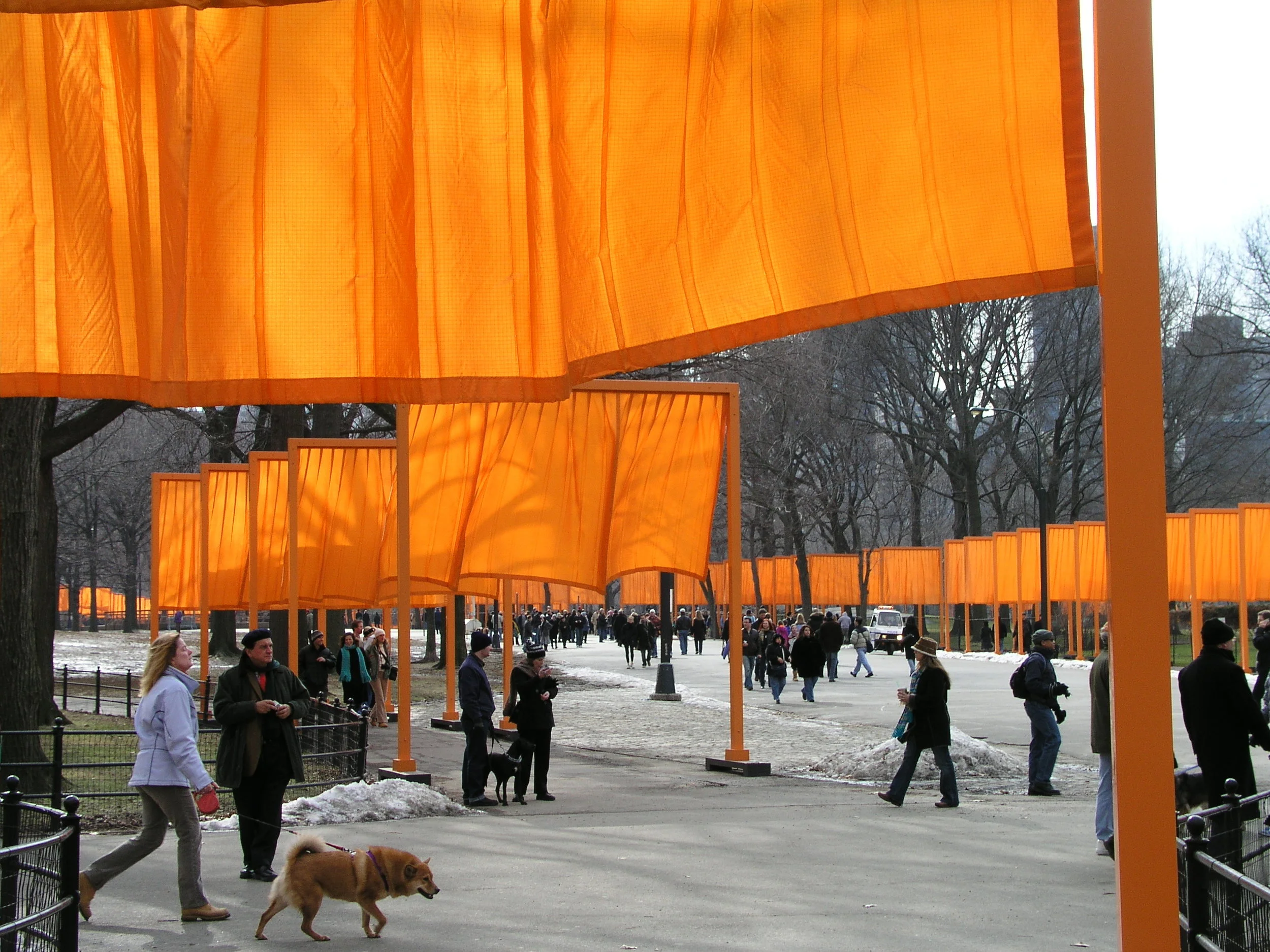 The Christo Gates 2005 in Central Park.8.JPG