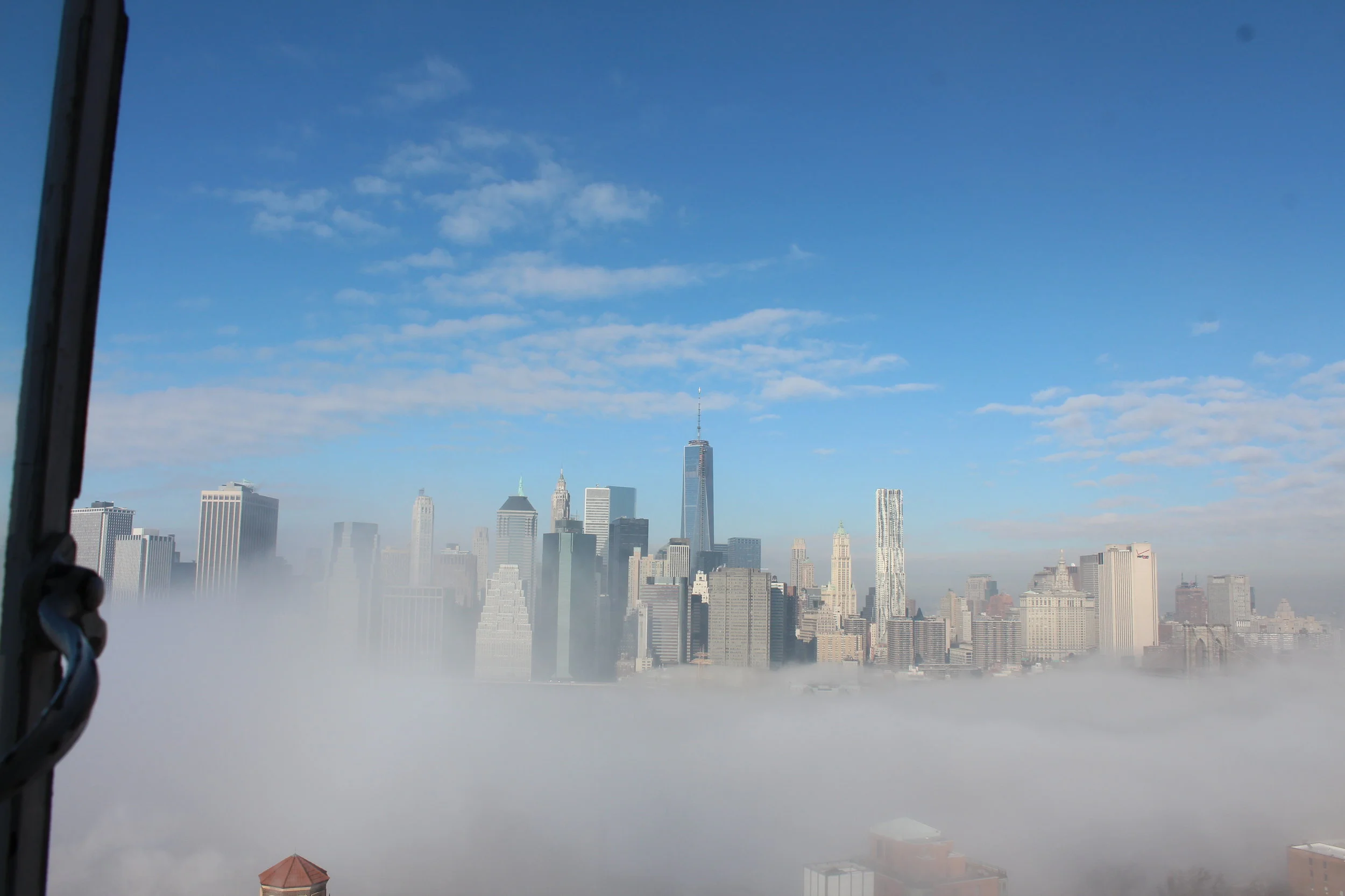 During a Polar Vortex and ice fog enveloped New York.7.JPG