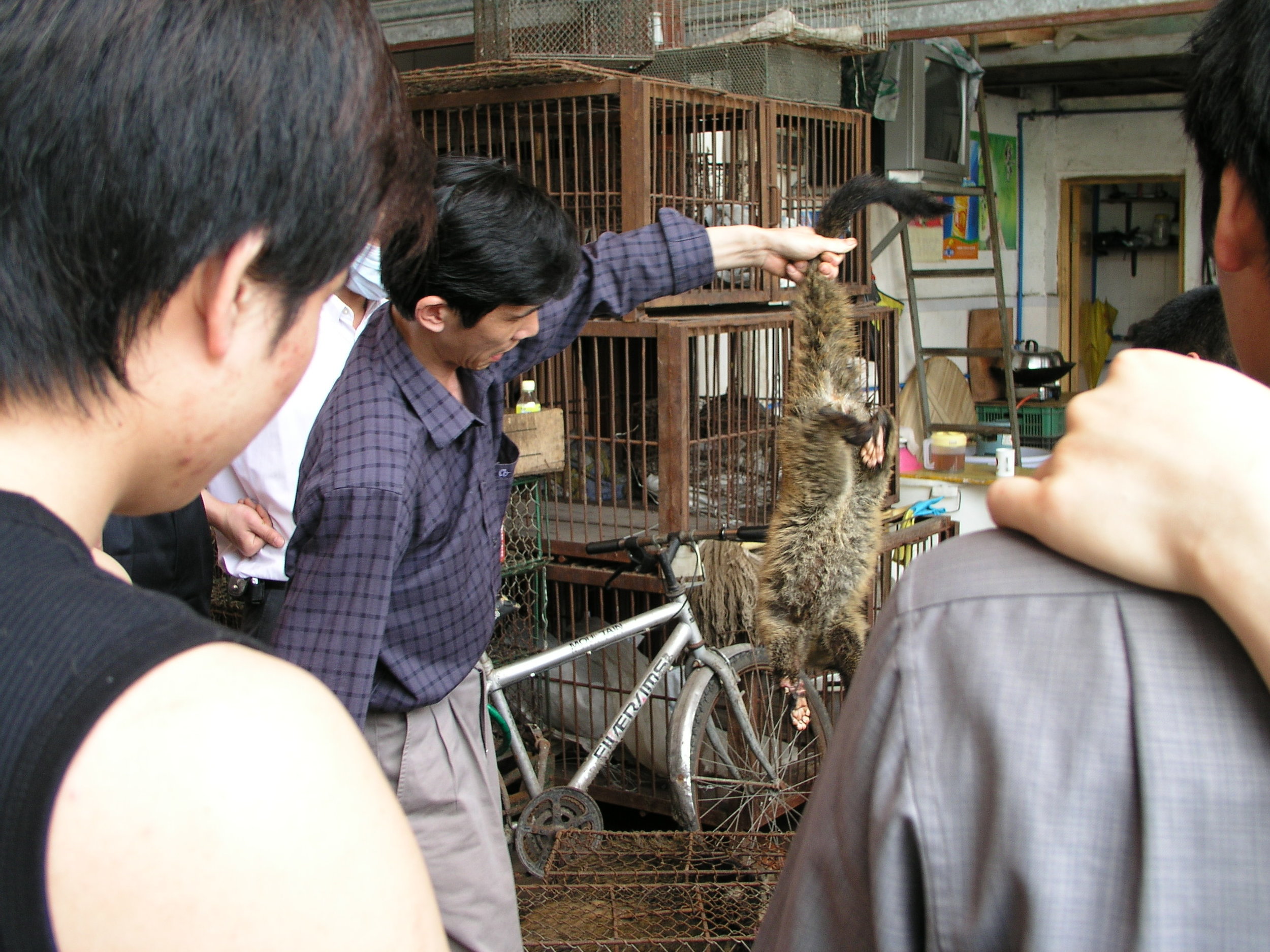 Chau Tau Market in Guangzhou where the SARS epidemic started from live civets .5.JPG