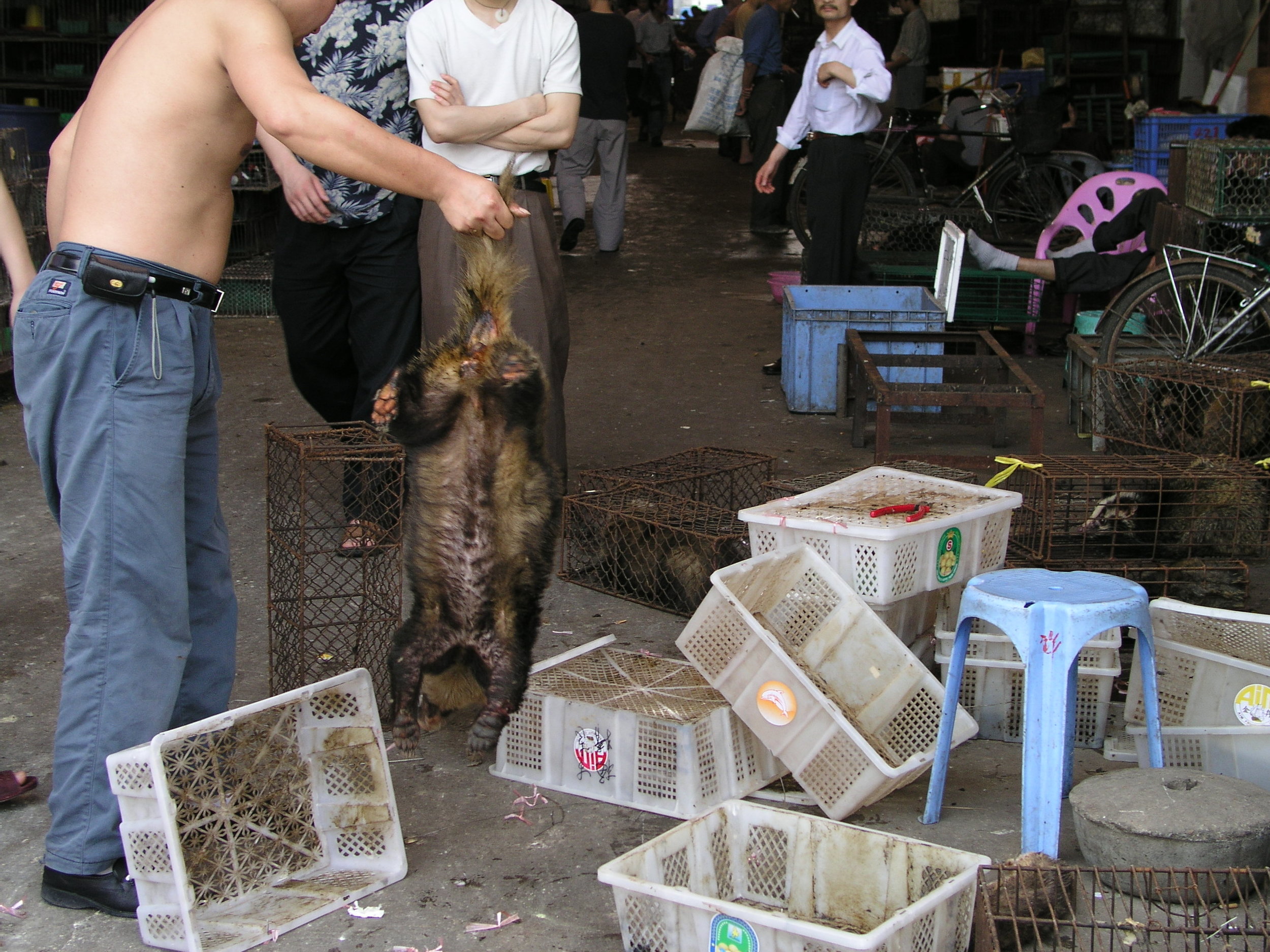 Chau Tau Market in Guangzhou where the SARS epidemic started from live civets .10.JPG