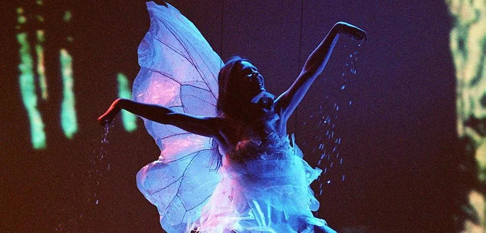 WHO’s Fairy Dust Financing