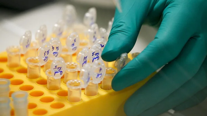 CRISPR: Transformative and Troubling