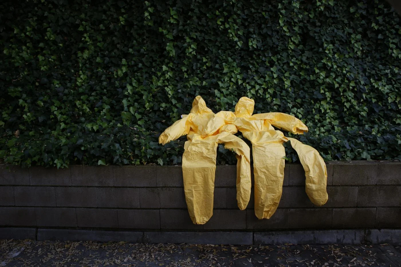 Ebola's Lessons: How the WHO Mishandled the Crisis