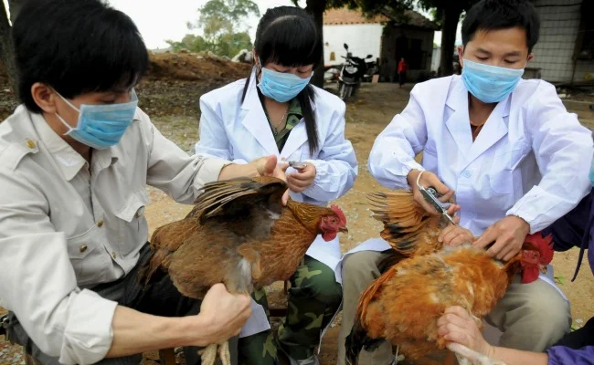 Five Global Health Concerns