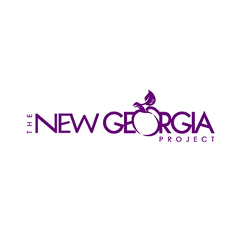 New-Georgia-Project.jpg