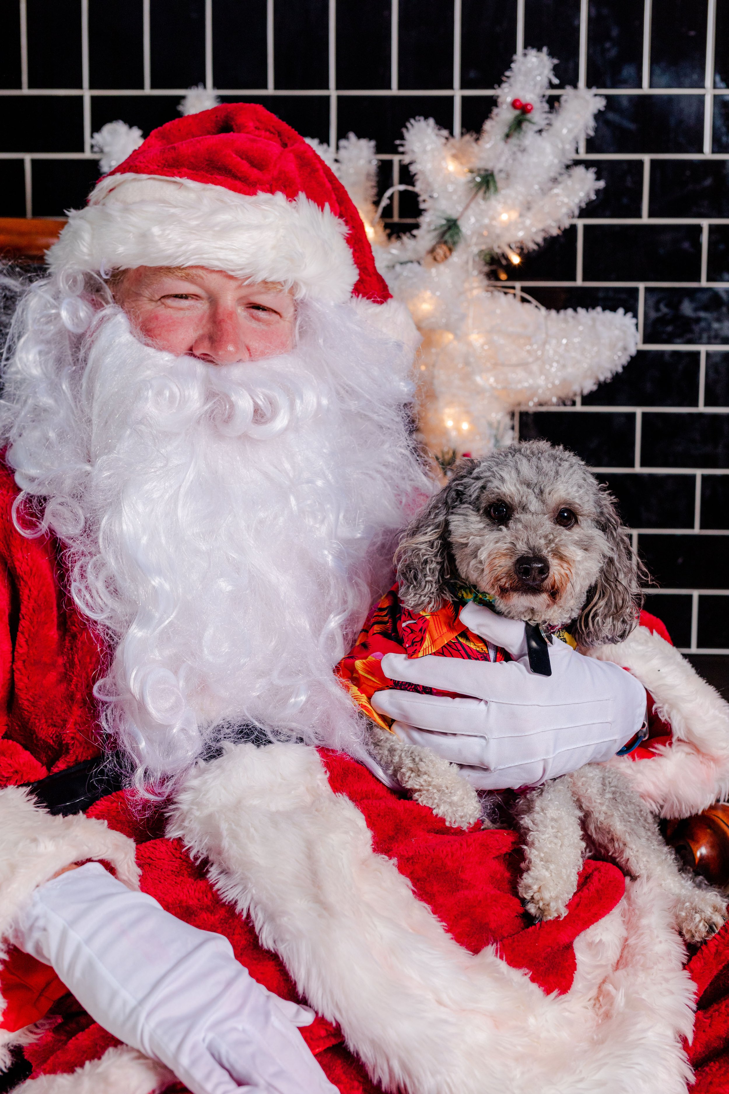 BSN Santa Paws - DZuks - December 2021 - 213.jpg