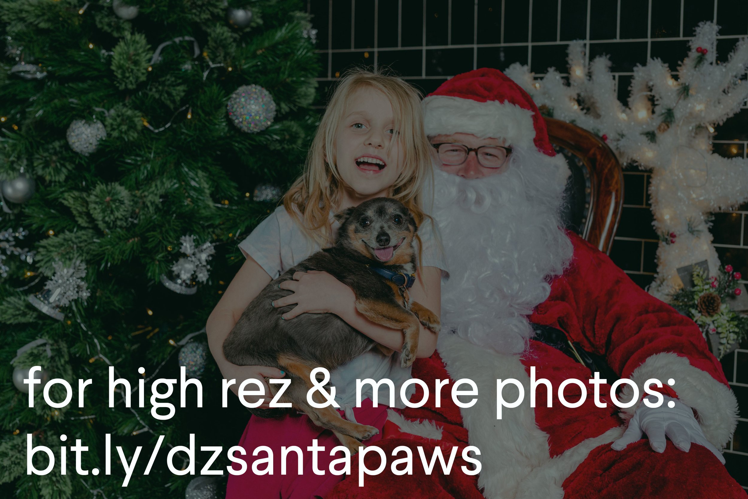 BSN Santa Paws - DZuks - December 2021 - 230 copy.jpg