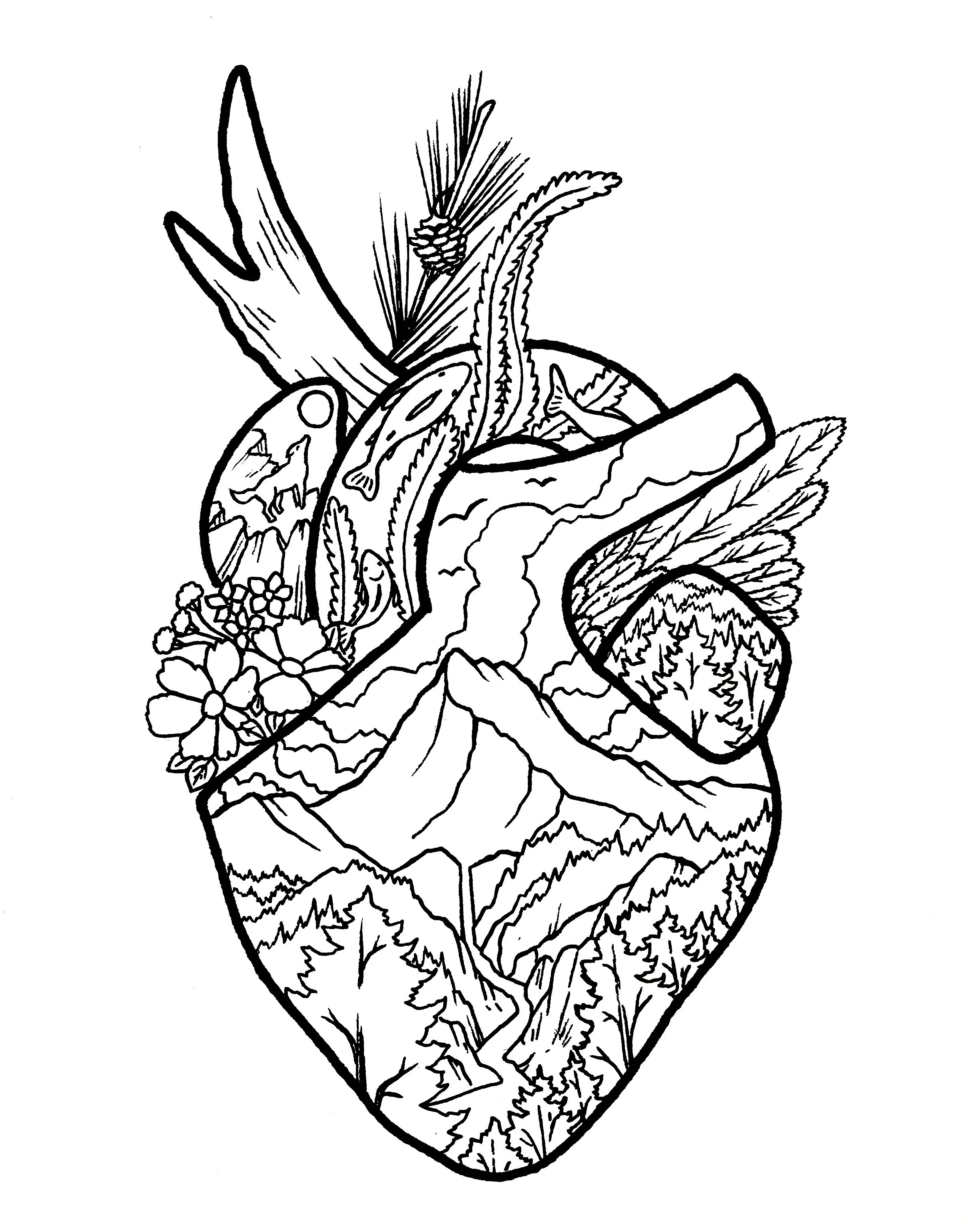 Advanced Coloring Pages: Wild at Heart
