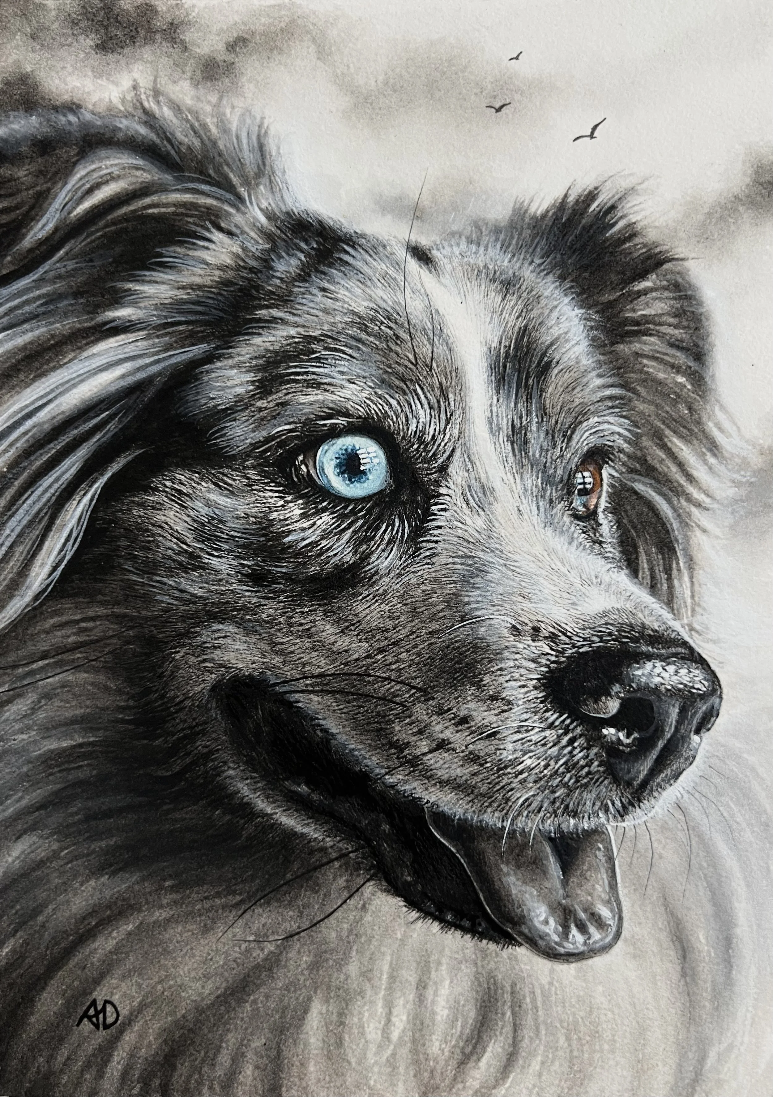 Classic Pet Portrait