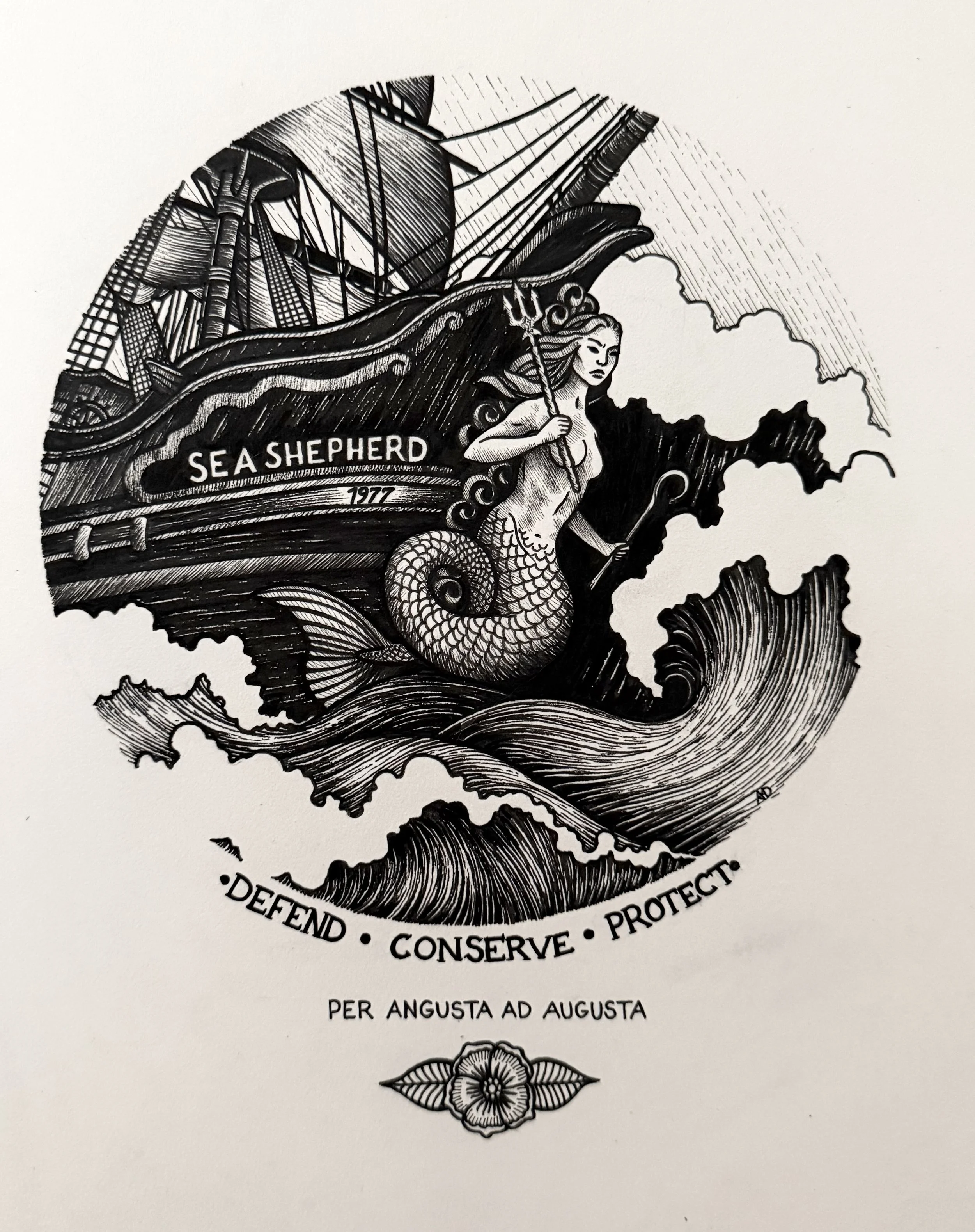 Vintage Sea Shepherd 11"x14"