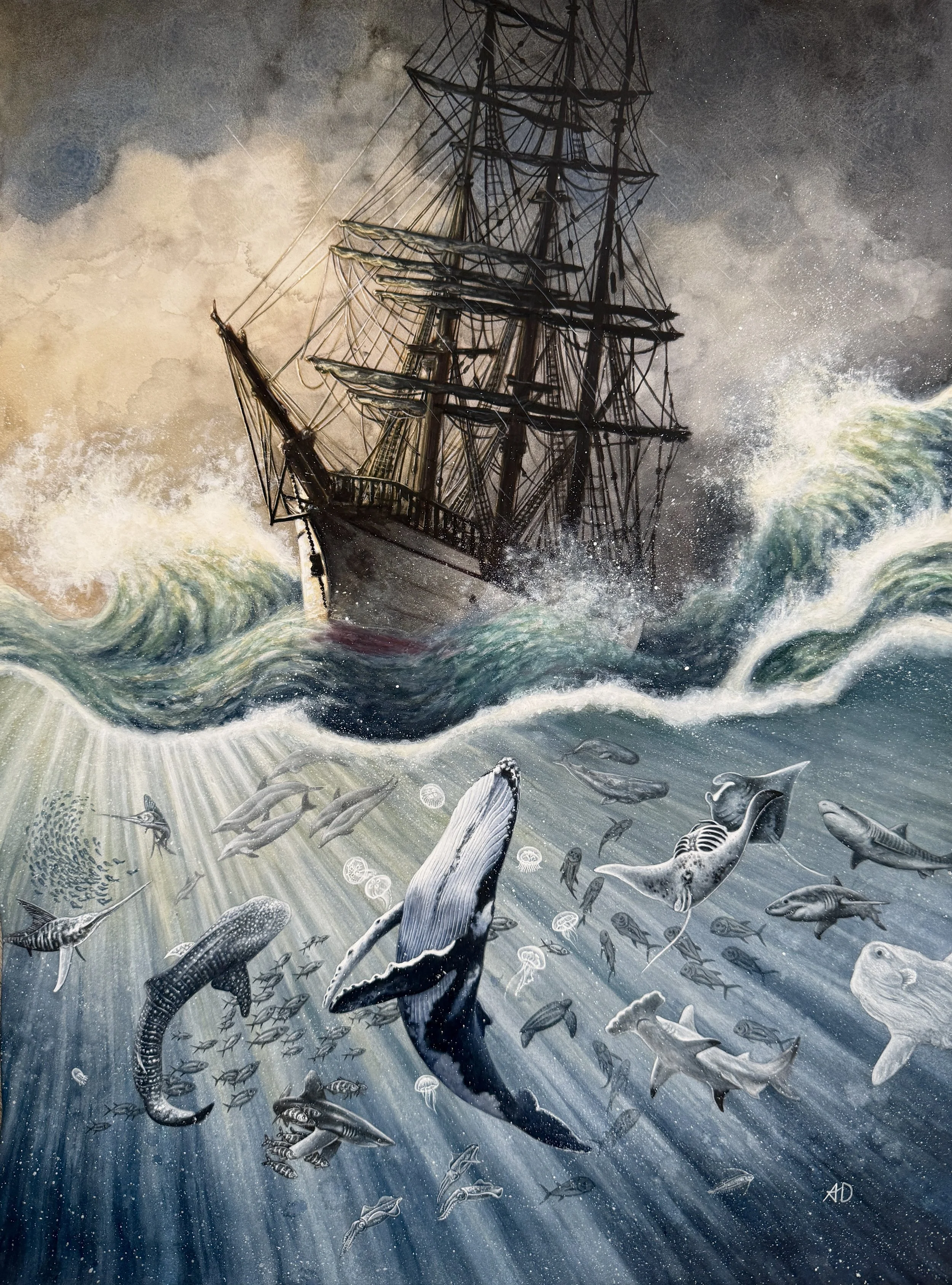 The Calm Beneath the Storm