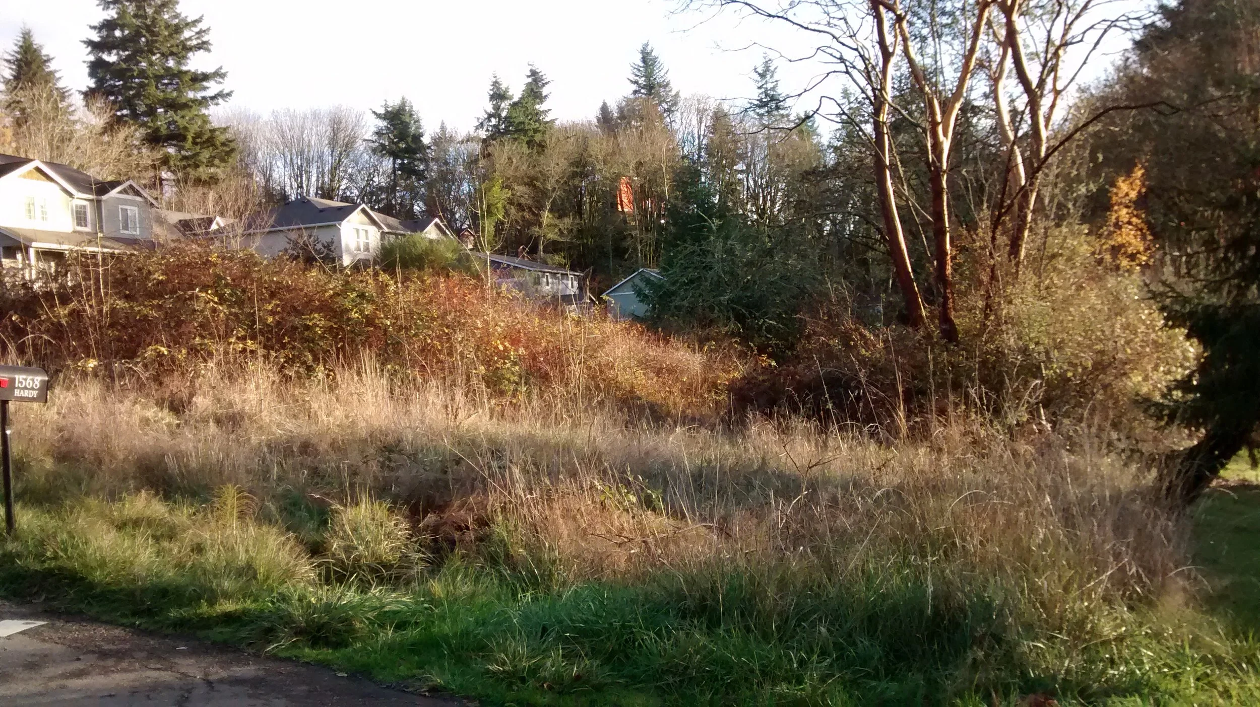Purchase Price (total): $261,325 | Lots on Devenny Ave