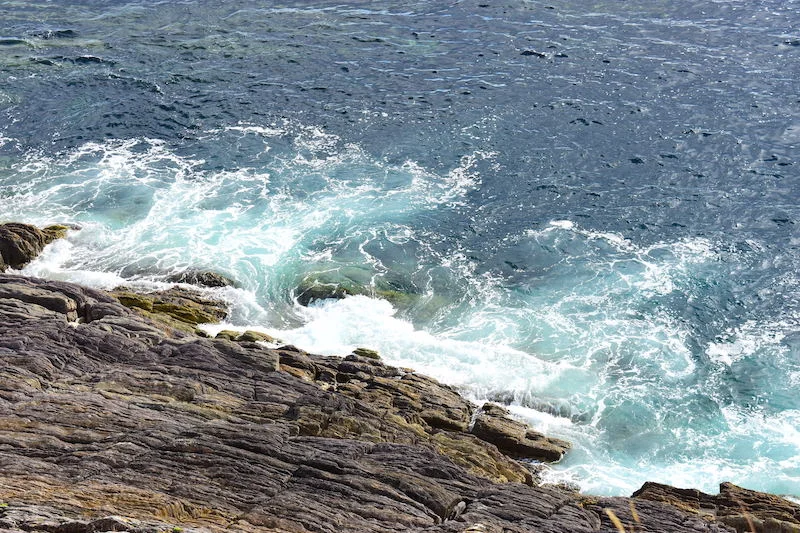 DSC_0988.jpg