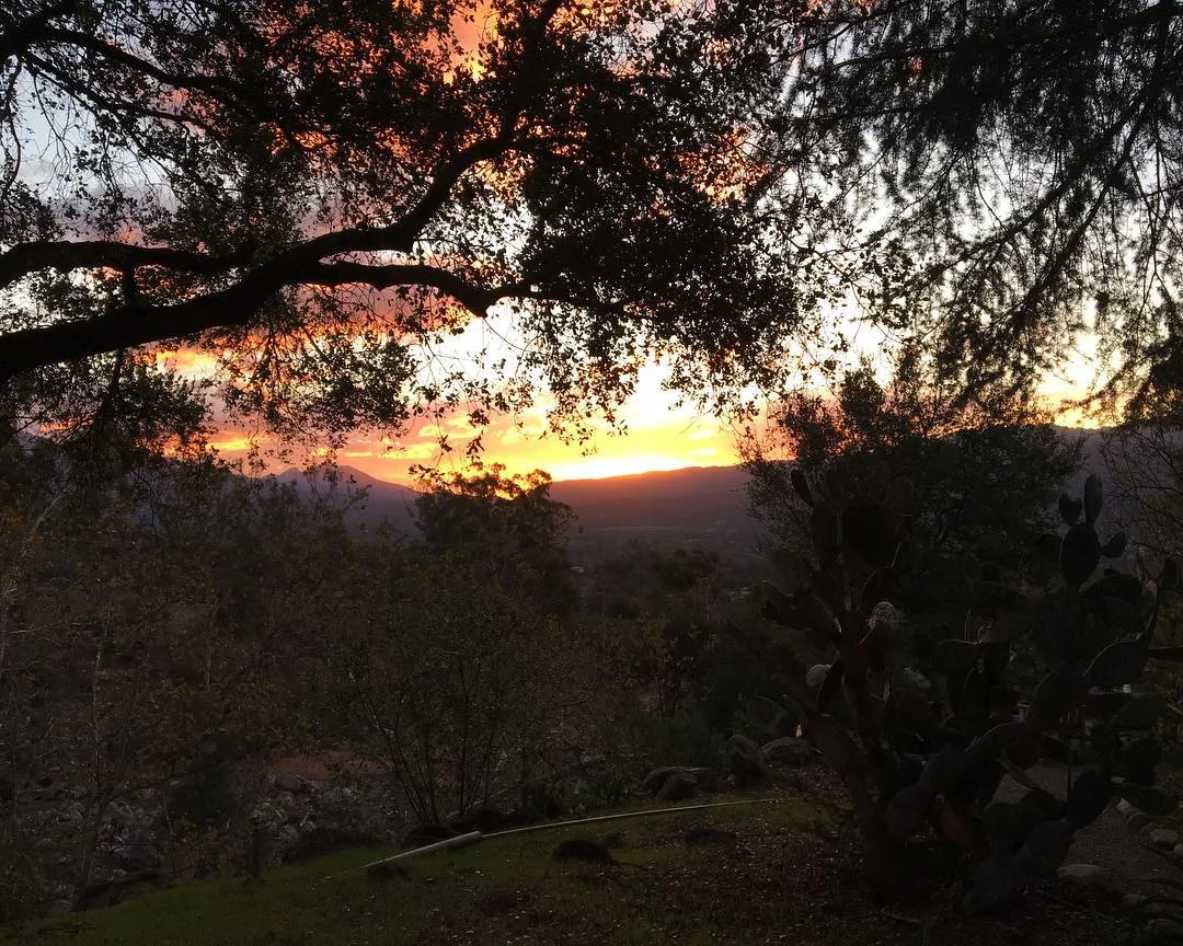 sunrise.jpg