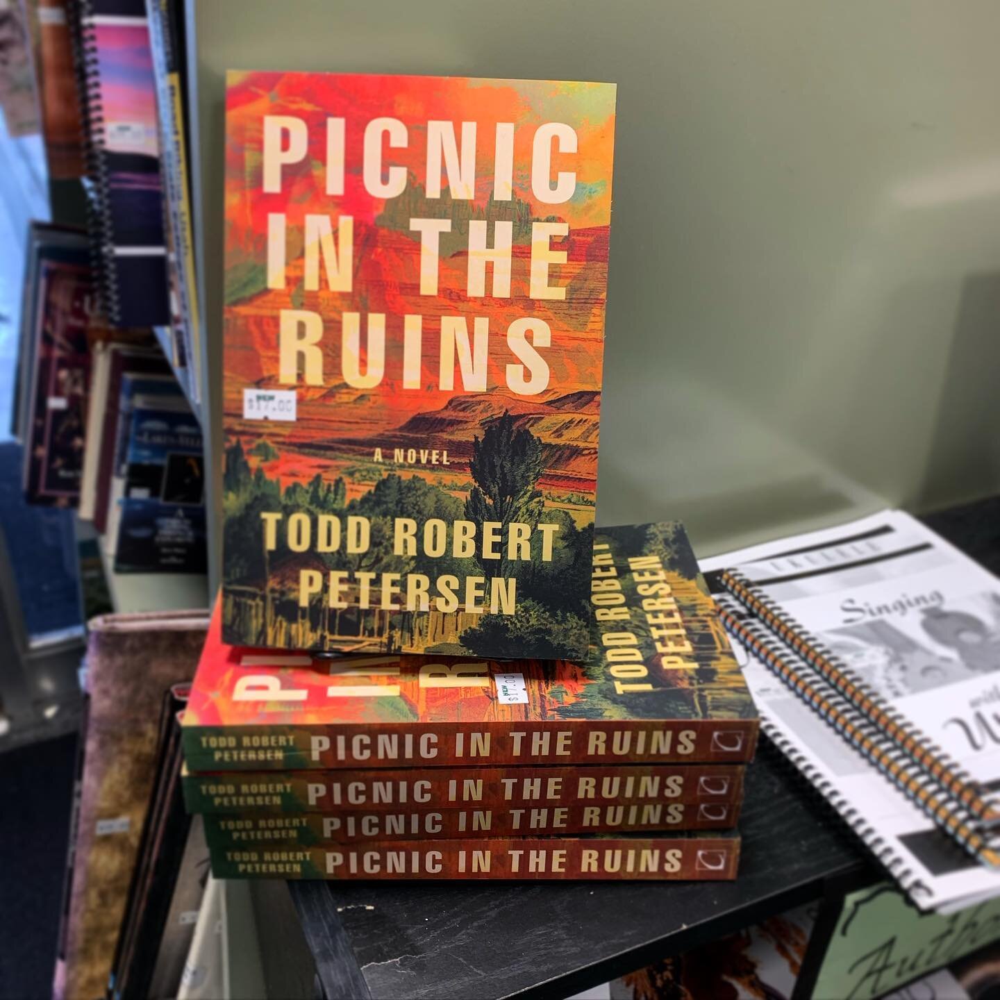 Hey everyone. They have a very nice madcap crime novel down @mainstreetbooks right here in Cedar City, with a capital C and that rhymes with P and that stands for Picnic (in the ruins).