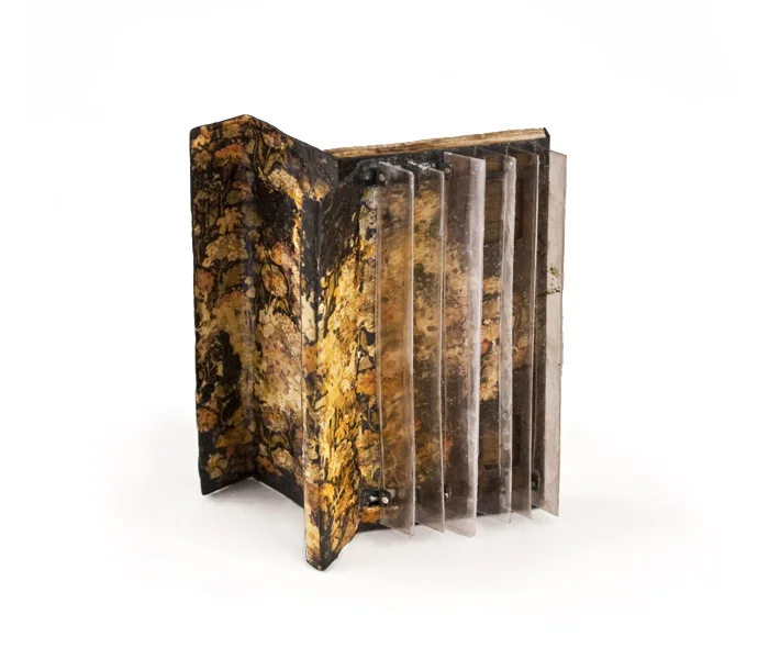 Brooch Interior Blinds.jpg