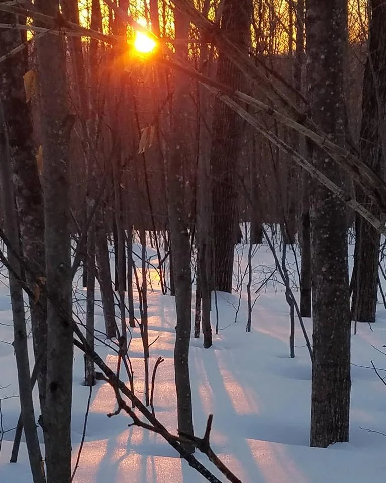 sunset.jpg