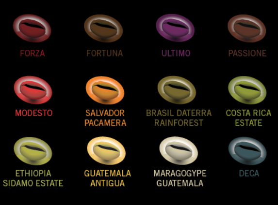 Caffè Duo: online koffiebonen bestellen