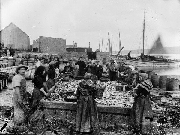 Herring station Shetland women working.jpeg