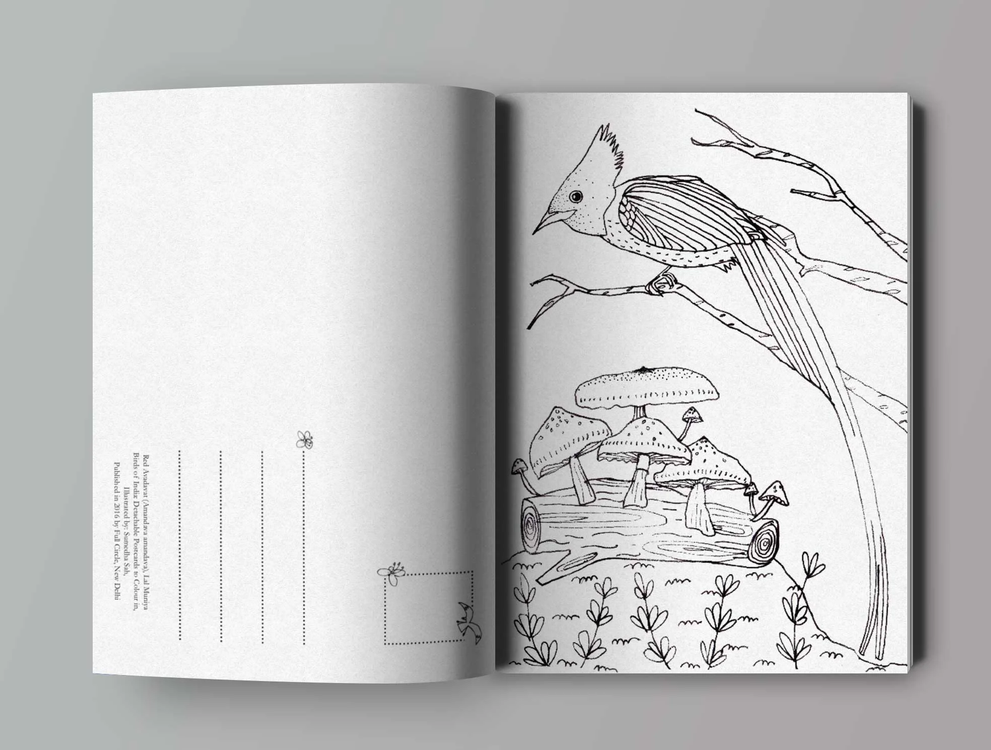 open-book-mockup-1.jpg