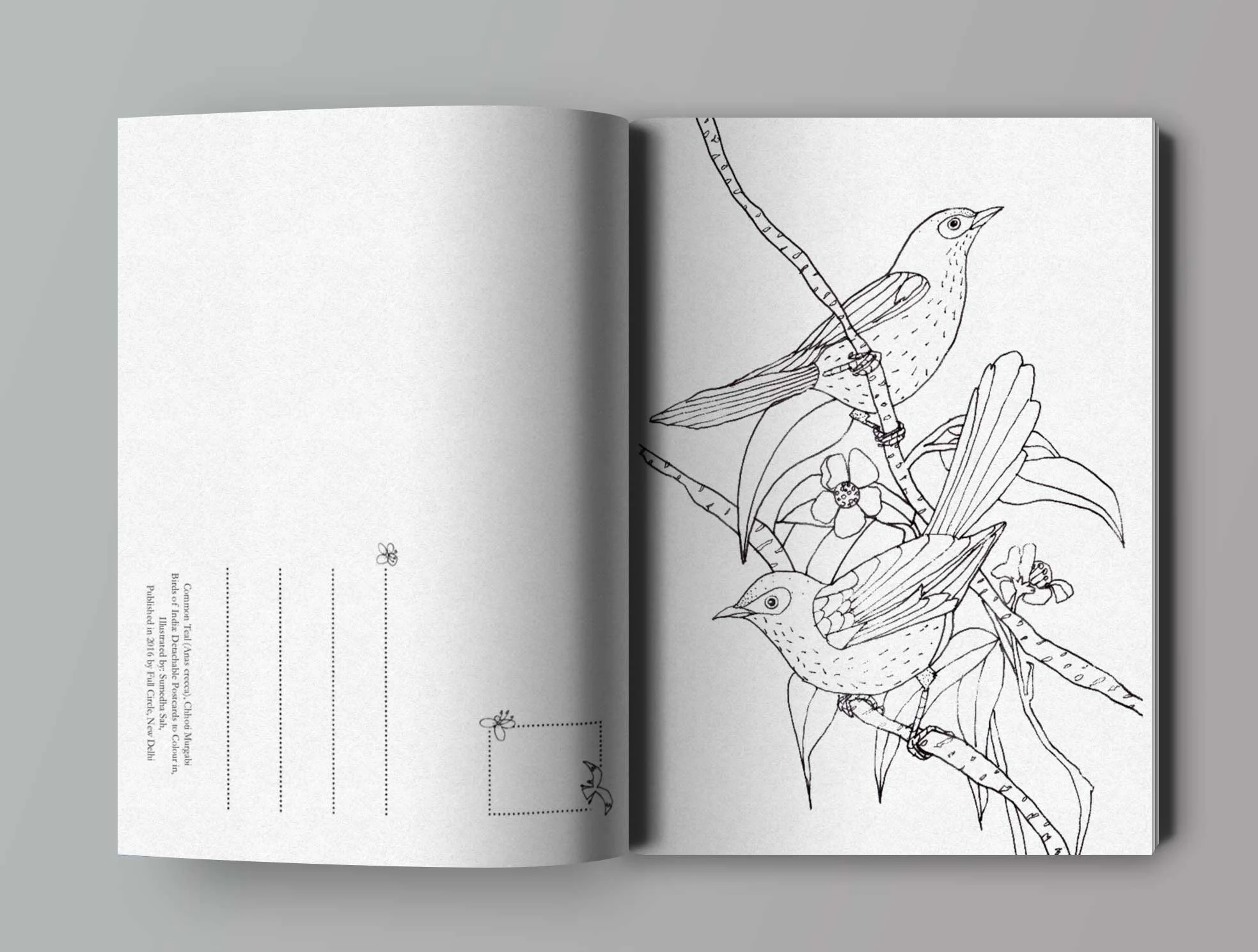open-book-mockup2.jpg