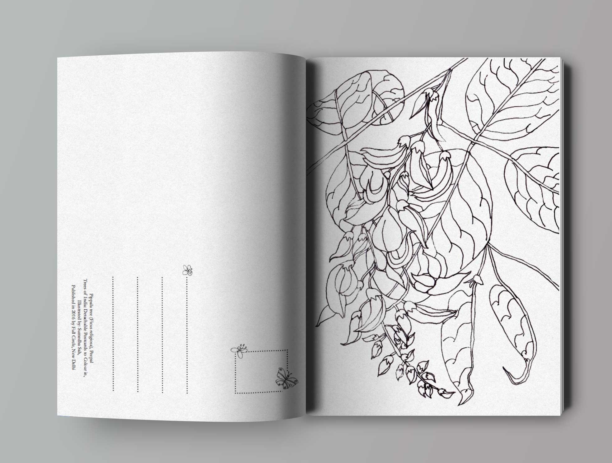 open-book-mockup2.jpg