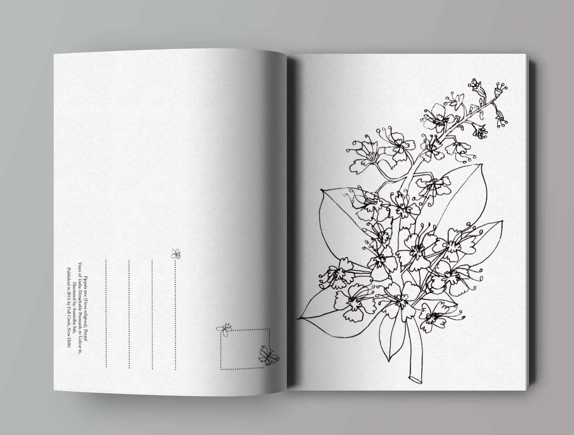 open-book-mockup11.jpg