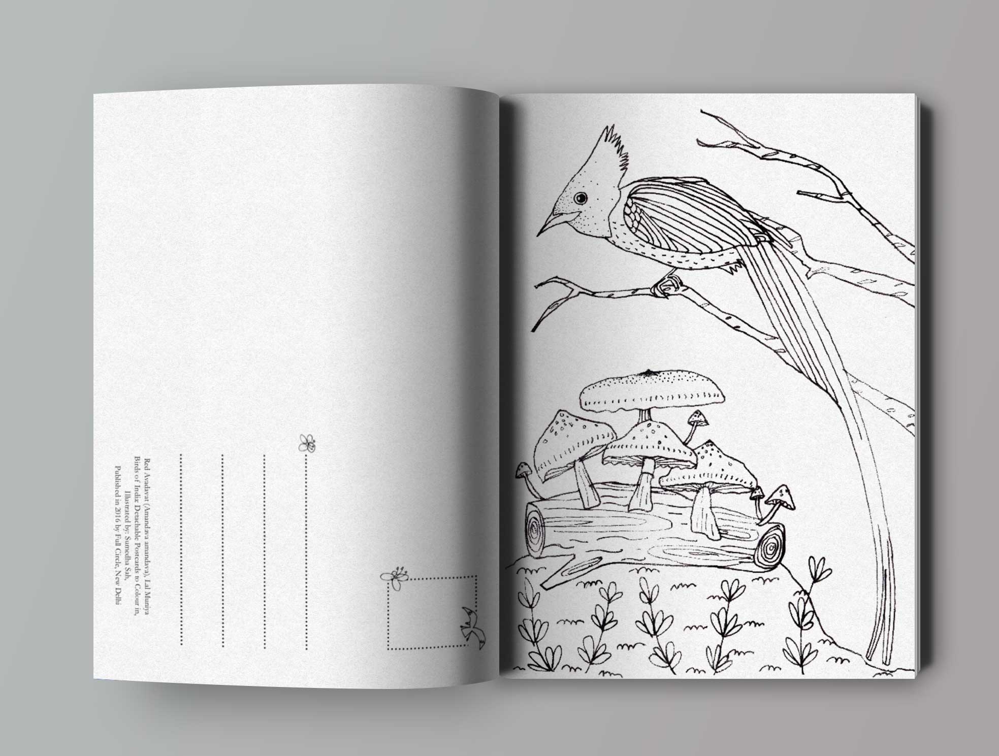open-book-mockup-1.jpg