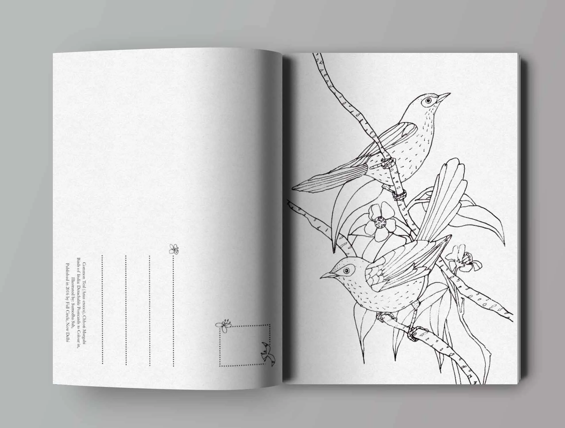 open-book-mockup.jpg