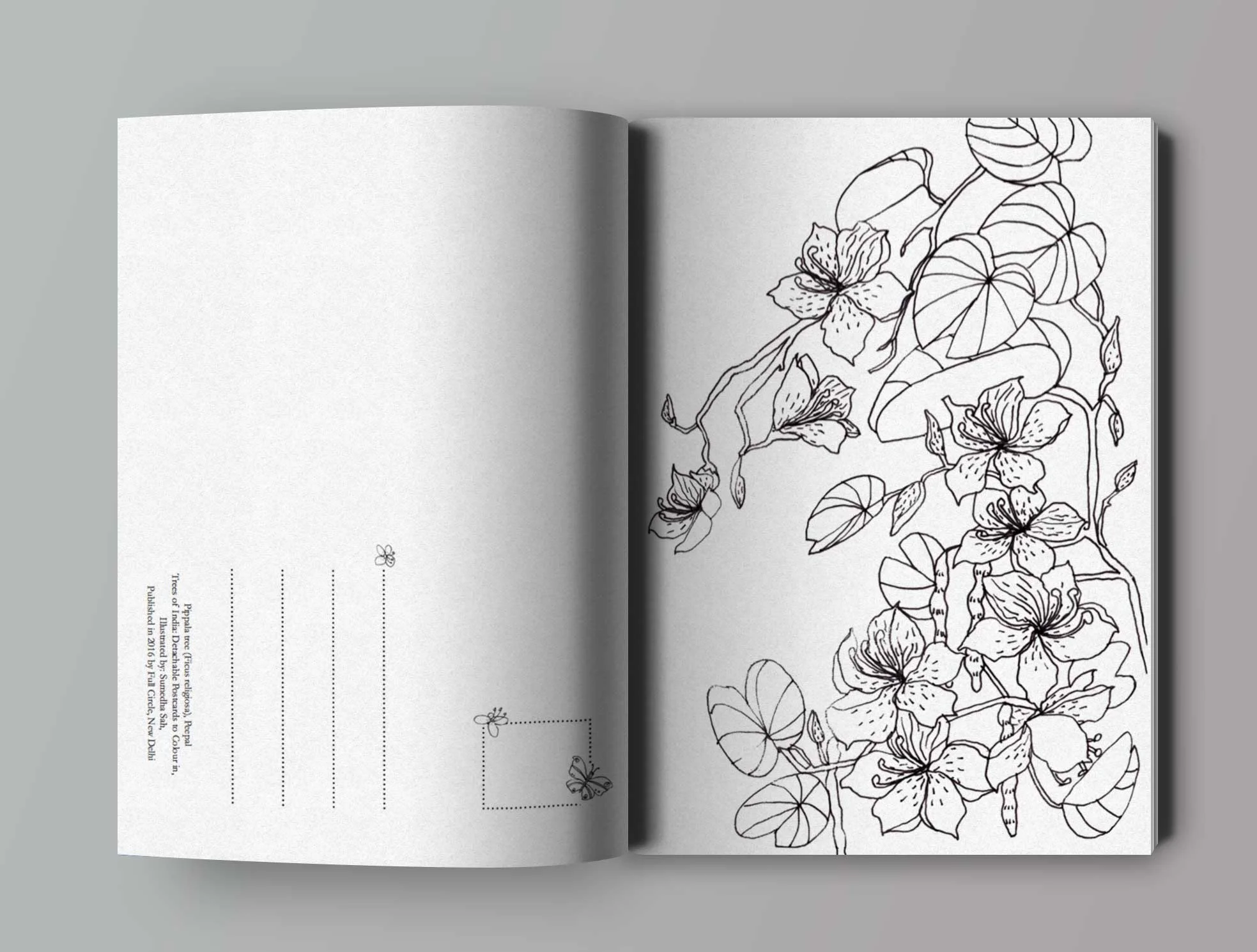 open-book-mockup-5.jpg